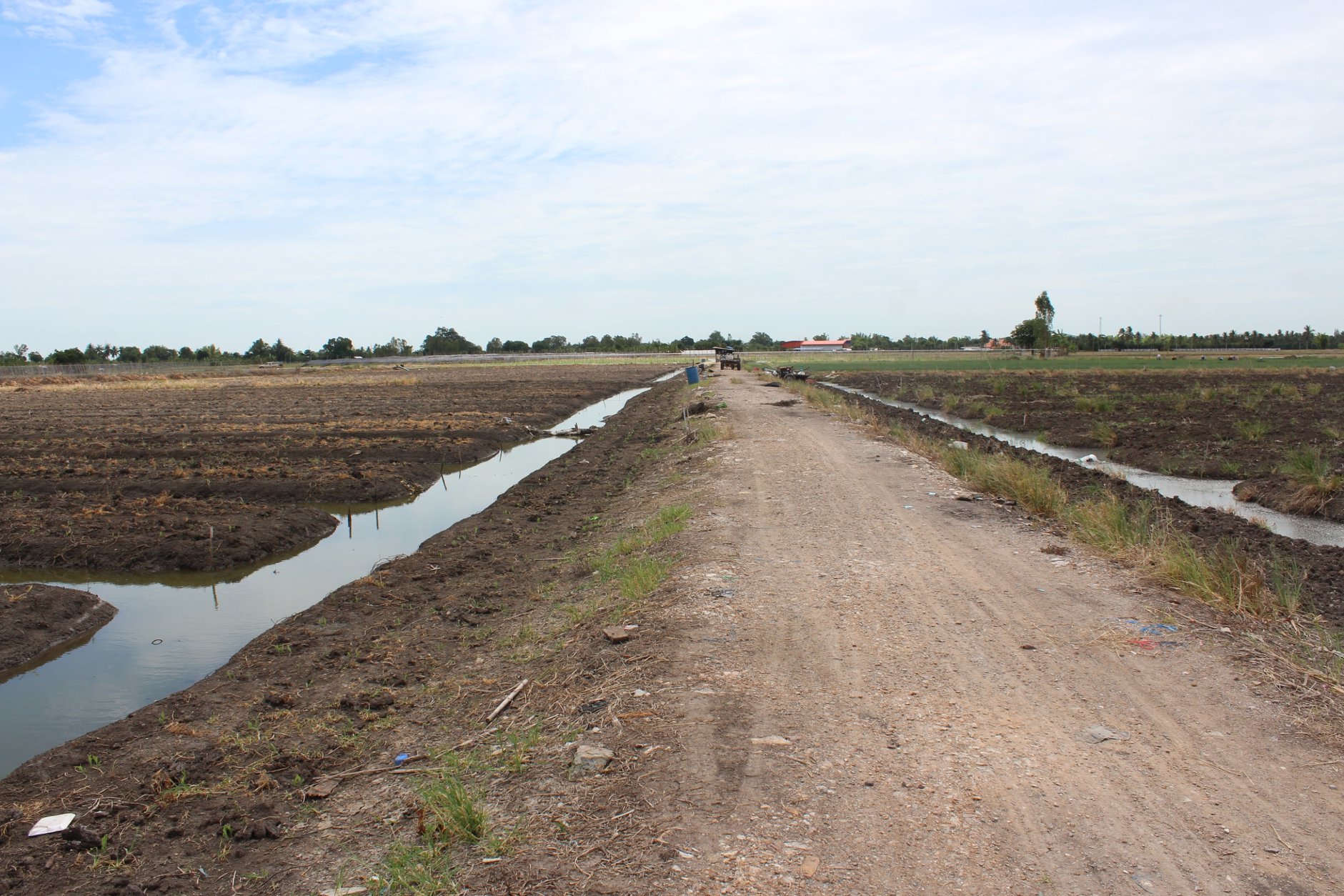 🍄ติดทรัพย์🍄ขายที่ดิน อ.อู่ทอง สุพรรณบุรี ใกล้สวนสวรรค์ ตลาดสีเขียวสุพรรณบุรี 37 ไร่ 1 งาน 93 ตรว ขายยกแปลง 9 ล้าน สถานที่ท่องเที่ยวชมพืชพันธุ์ดอกไม้ ทุ่งทานตะวัน มีถนนตัดผ่านรอบพื้นที่ ทำทางถนนรอบที่ ให้เรียบร้อย มีบ่อบาดาลในที่ 2 บ่อ มีคล