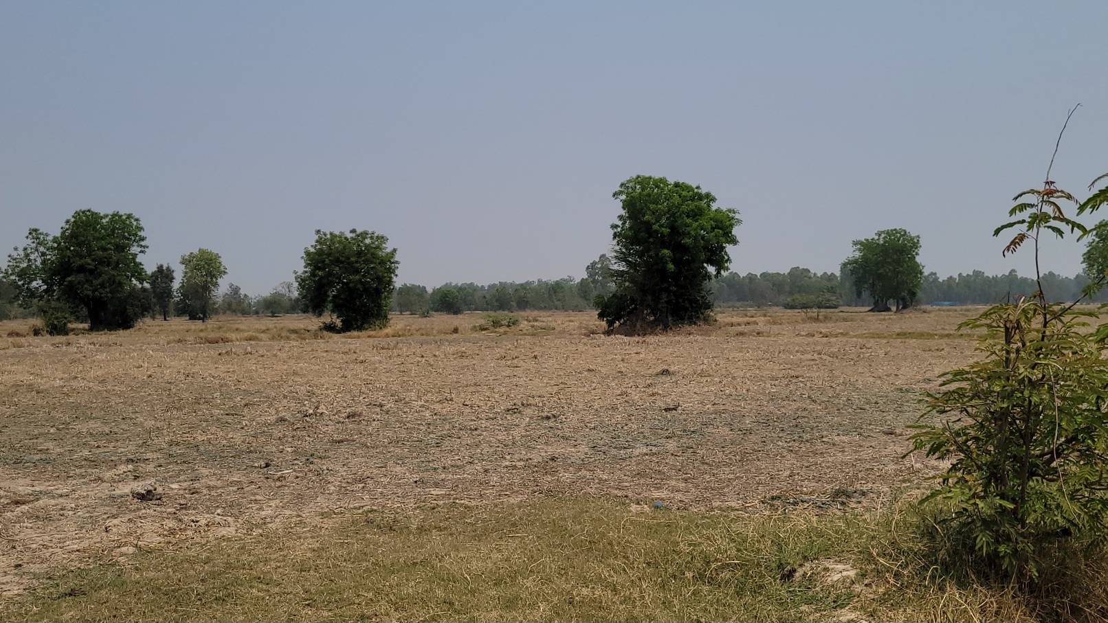 ที่ดินติดถนนใหญ่ 333ราคาเบา วิวสวย ทำเลท่องเที่ยวครบ จองด่วน! อ.อู่ทอง จ.สุพรรณบุรี ถูกกว่าตลาดเท่าตัว! 17ไร่ เหมาะรีสอร์ท/คาเฟ่/โกดัง ที่ดินศักยภาพสูง เหมาะกับการลงทุนเป็นอย่างยิ่ง