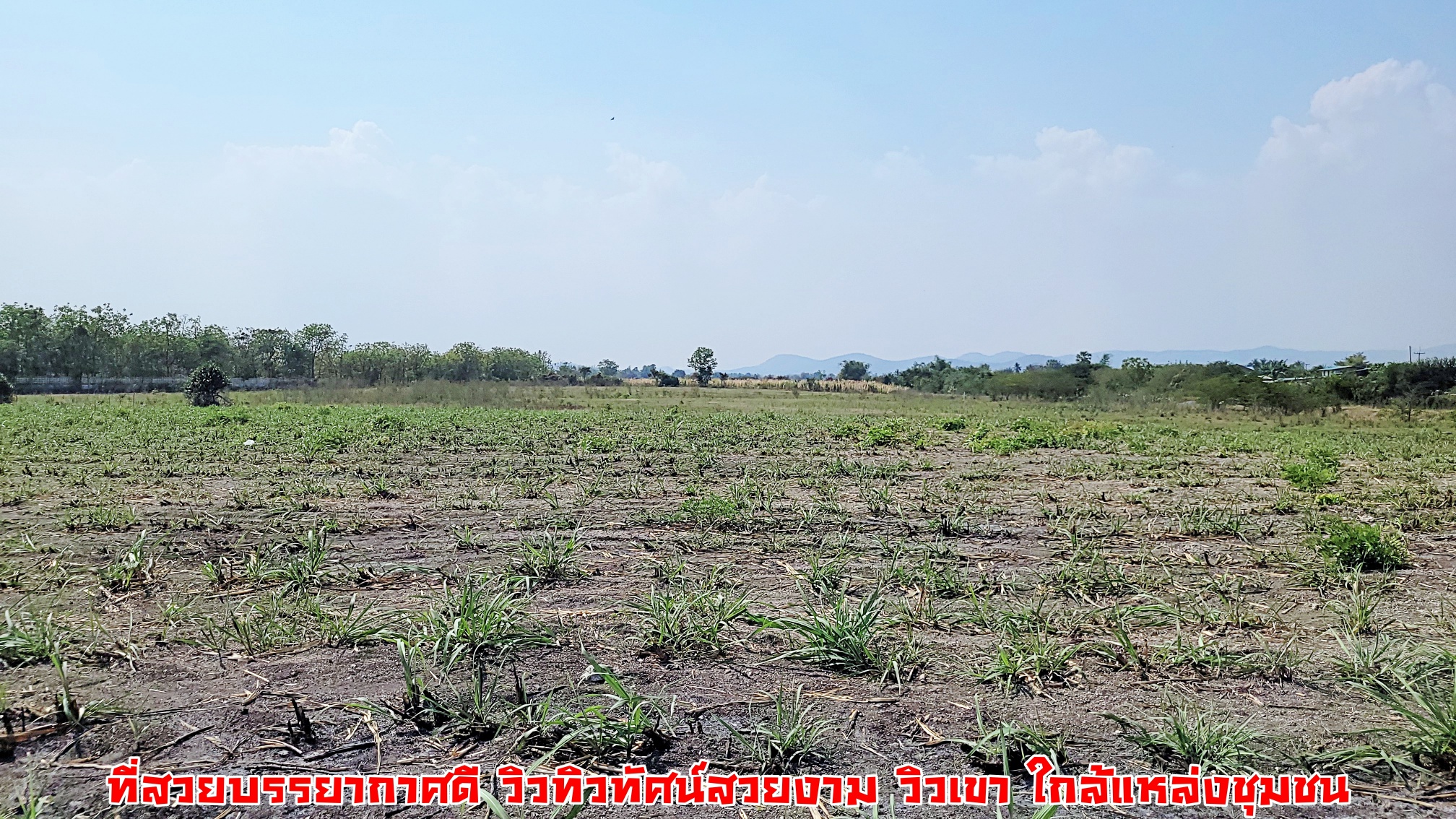 #ขายแล้ว ขายที่ดินแปลงสวย วิวภูเขา ติดถนนลาดยาง ทางสาธารณะ 2 ด้าน ใกล้สถานที่ท่องเที่ยว ตลาดสีเขียว ณ สวนสวรรค์สุพรรณบุรี ทุ่งทานตะวัน ทุ่งดอกกระเจียว ต.พลับพลาชัย อ.อู่ทอง จ. สุพรรณบุรี เนื้อที่ 25 ไร่ ไร่ละ 300,000 บ.