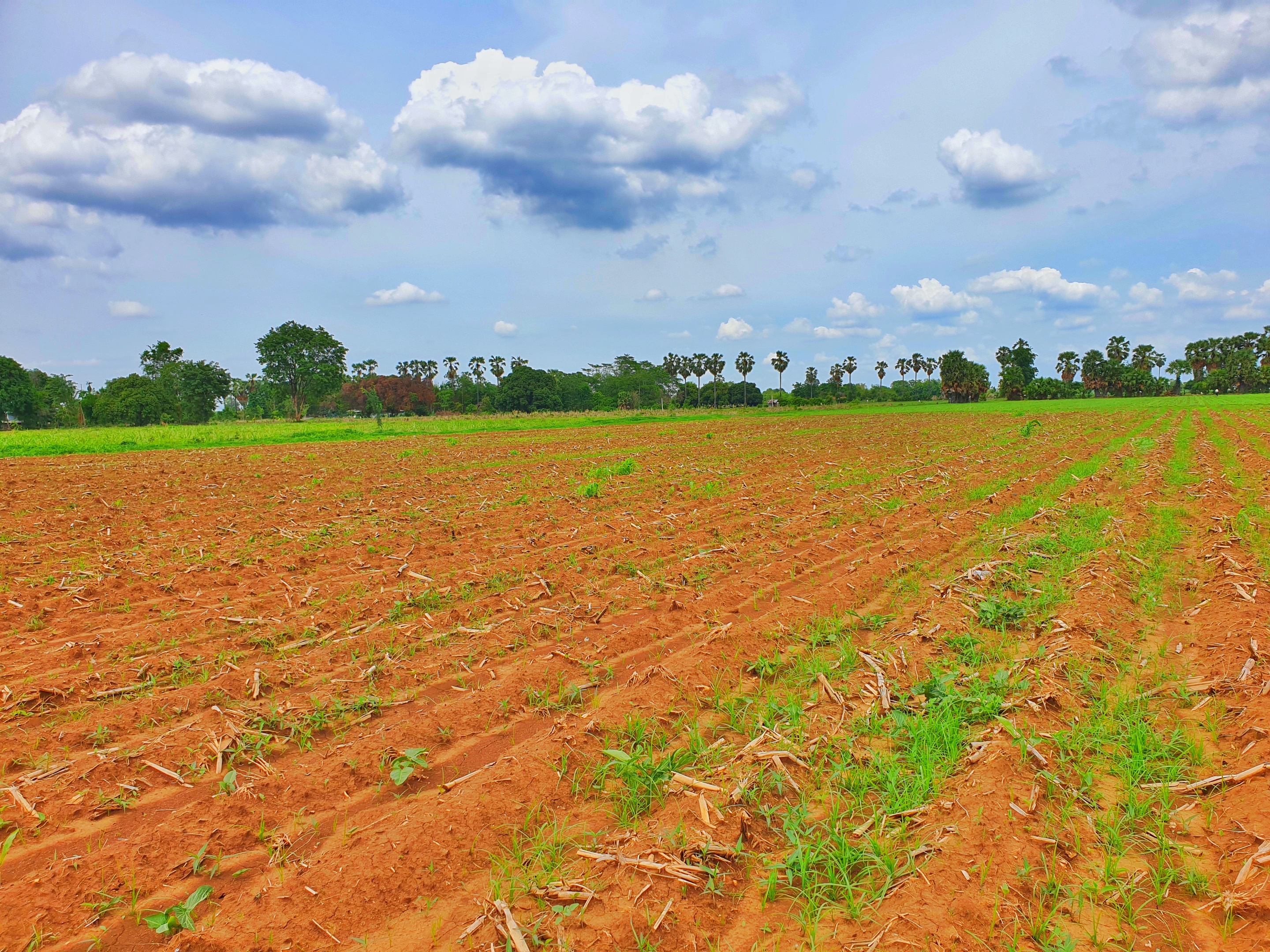 💰ขายแล้ว💰ขายที่ดินติดถนนลาดยาง วิวภูเขา อ.อู่ทอง จ. สุพรรณบุรี เนื้อที่ 9-3-18 ไร่ ขายไร่ละ 2.5 แสน ที่สวยบรรยากาศดี วิวทิวทัศน์สวยงาม ใกล้แหล่งชุมชน น้ำไฟเข้าถึง