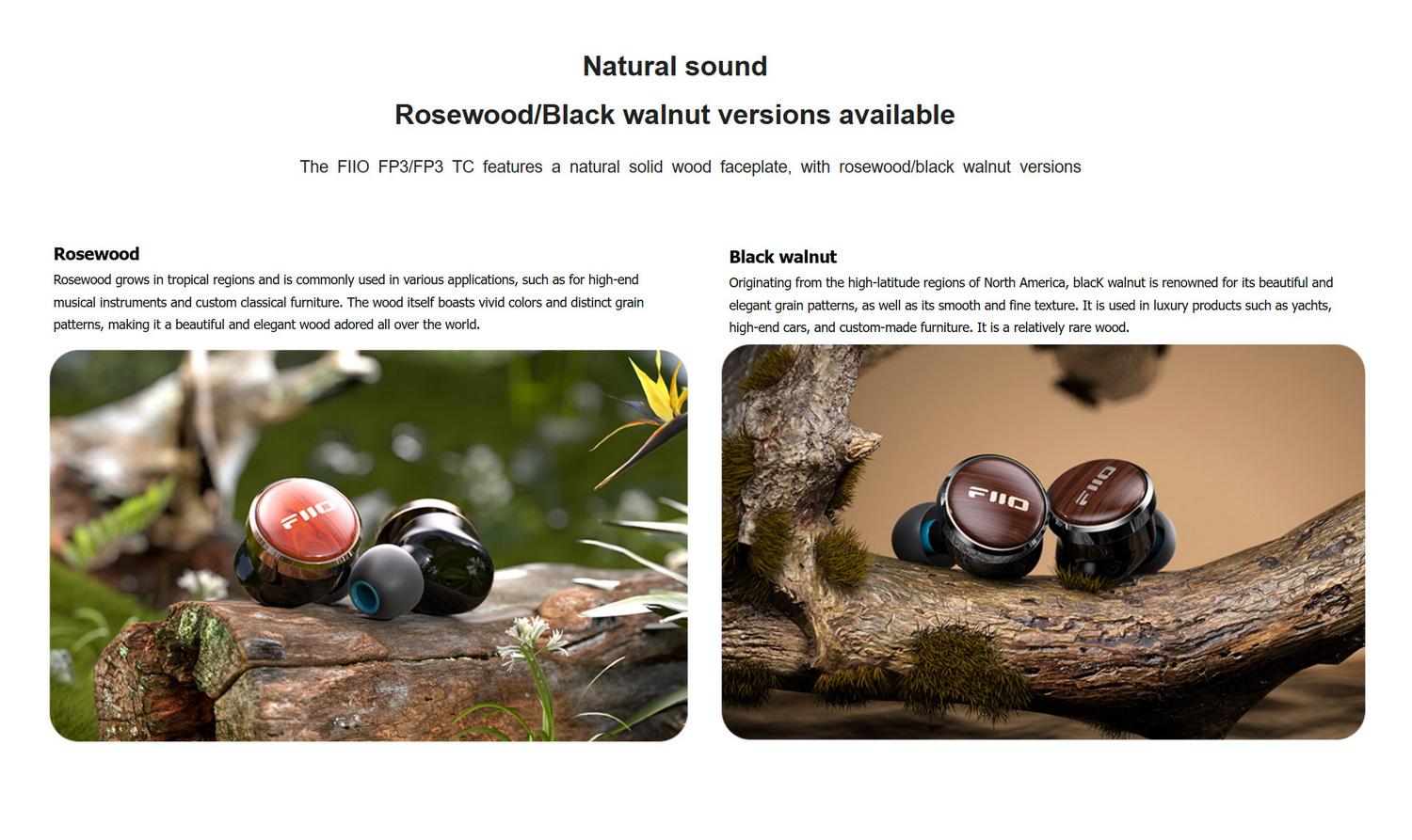 FiiO FP3 หูฟัง IEMs ไดรเวอร์ Planar 14.5 มม. รุ่นที่สองที่พัฒนาขึ้นเอง ประกันศูนย์ไทย