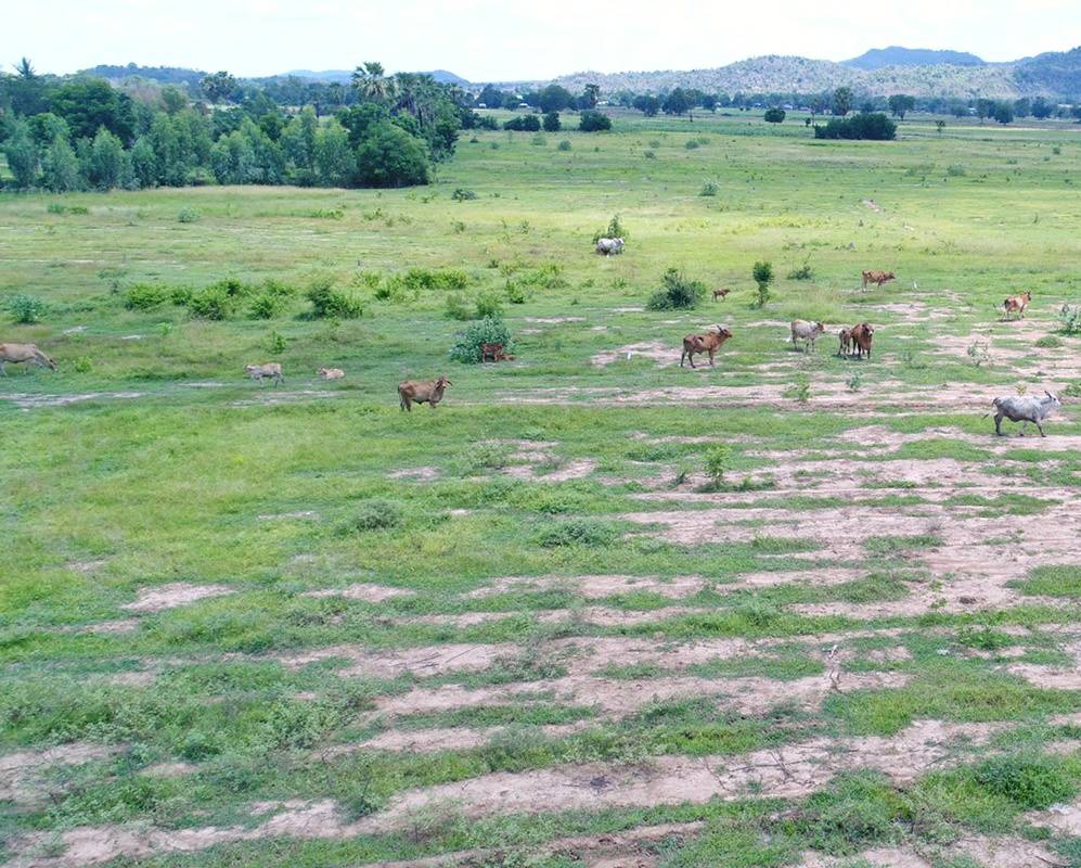 💰ขายแล้ว💰ขายที่ดินติดถนนลาดยาง อ.อู่ทอง ที่ดินเนื้อที่ 60-3-0 ไร่ ขายยกแปลง 14 ล้าน พร้อมค่าโอน เอกสารสิทธ์ เป็นโฉนด อ.อู่ทอง จ.สุพรรณบุรี ด้านหน้าติดถนนลาดยางหน้ากว้างประมาณ 120 เมตร ด้านหลังวิวภูเขา วิวทิวทัศน์สวยงาม บรรยากาศดี