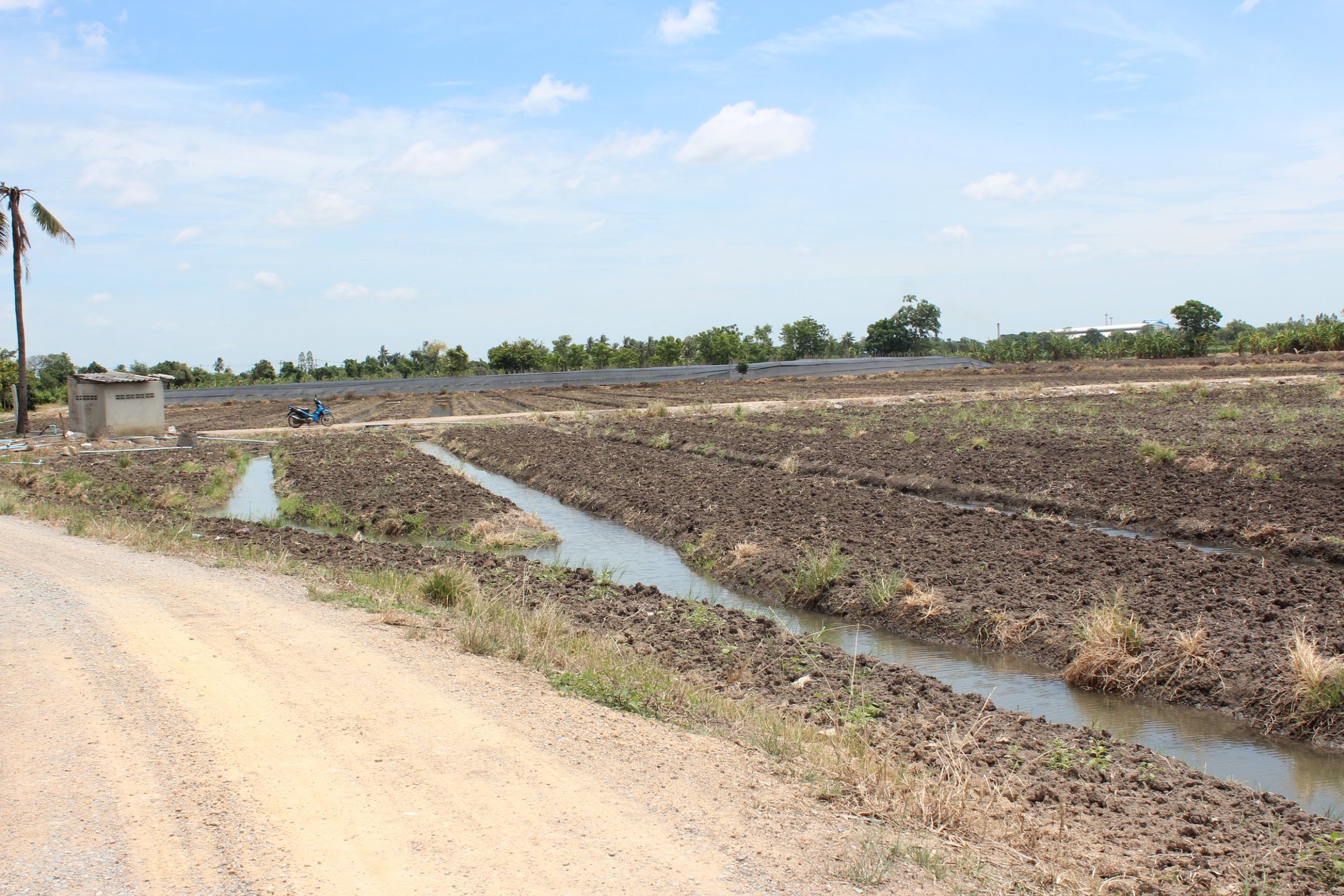 🍄ติดทรัพย์🍄ขายที่ดิน อ.อู่ทอง สุพรรณบุรี ใกล้สวนสวรรค์ ตลาดสีเขียวสุพรรณบุรี 37 ไร่ 1 งาน 93 ตรว ขายยกแปลง 9 ล้าน สถานที่ท่องเที่ยวชมพืชพันธุ์ดอกไม้ ทุ่งทานตะวัน มีถนนตัดผ่านรอบพื้นที่ ทำทางถนนรอบที่ ให้เรียบร้อย มีบ่อบาดาลในที่ 2 บ่อ มีคล