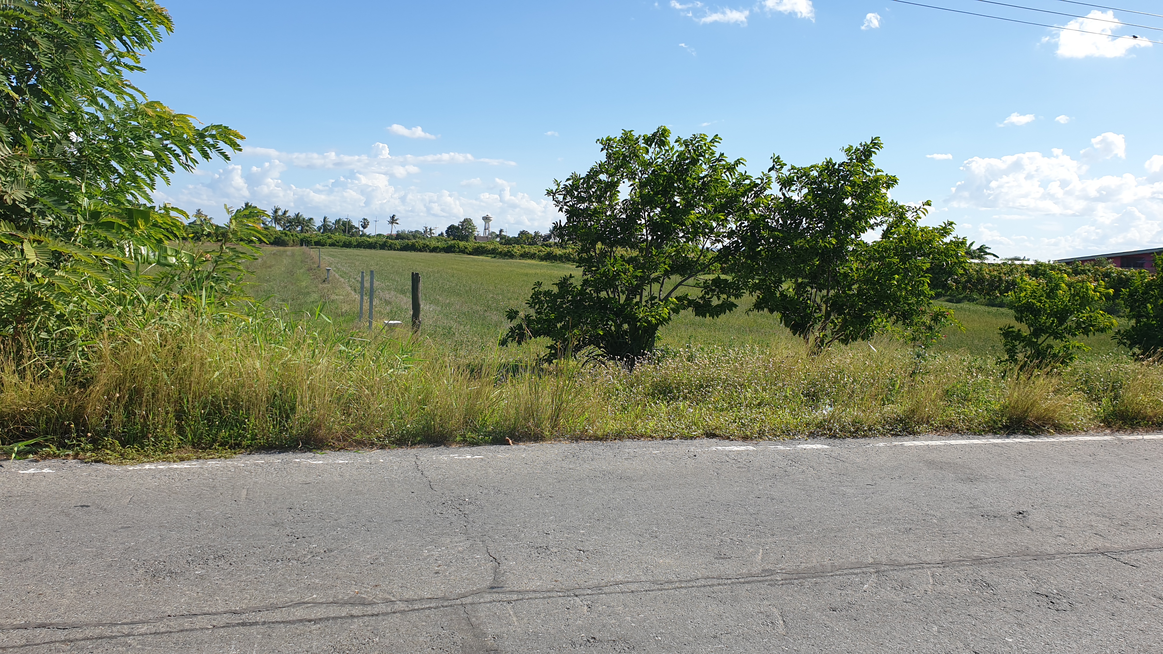 🌌ติดทรัพย์🌌ขายที่ดินติดถนนลาดยาง อ.เมือง จ.สุพรรณบุรี เนื้อที่ 4 ไร่ 2 งาน หน้ากว้างติดถนน 36 เมตร ลึก 195 เมตร อยู่ใกล้ แหล่งน้ำคลองมะขามเฒ่า น้ำอุดมสมบุรณ์ตลอดปี อยู่ใกล้ชุมชน เหมาะปลูกบ้านทำสวนเกษตร ยามเกษียณ หรือเปิดร้านอาหารท่ามกลางธร
