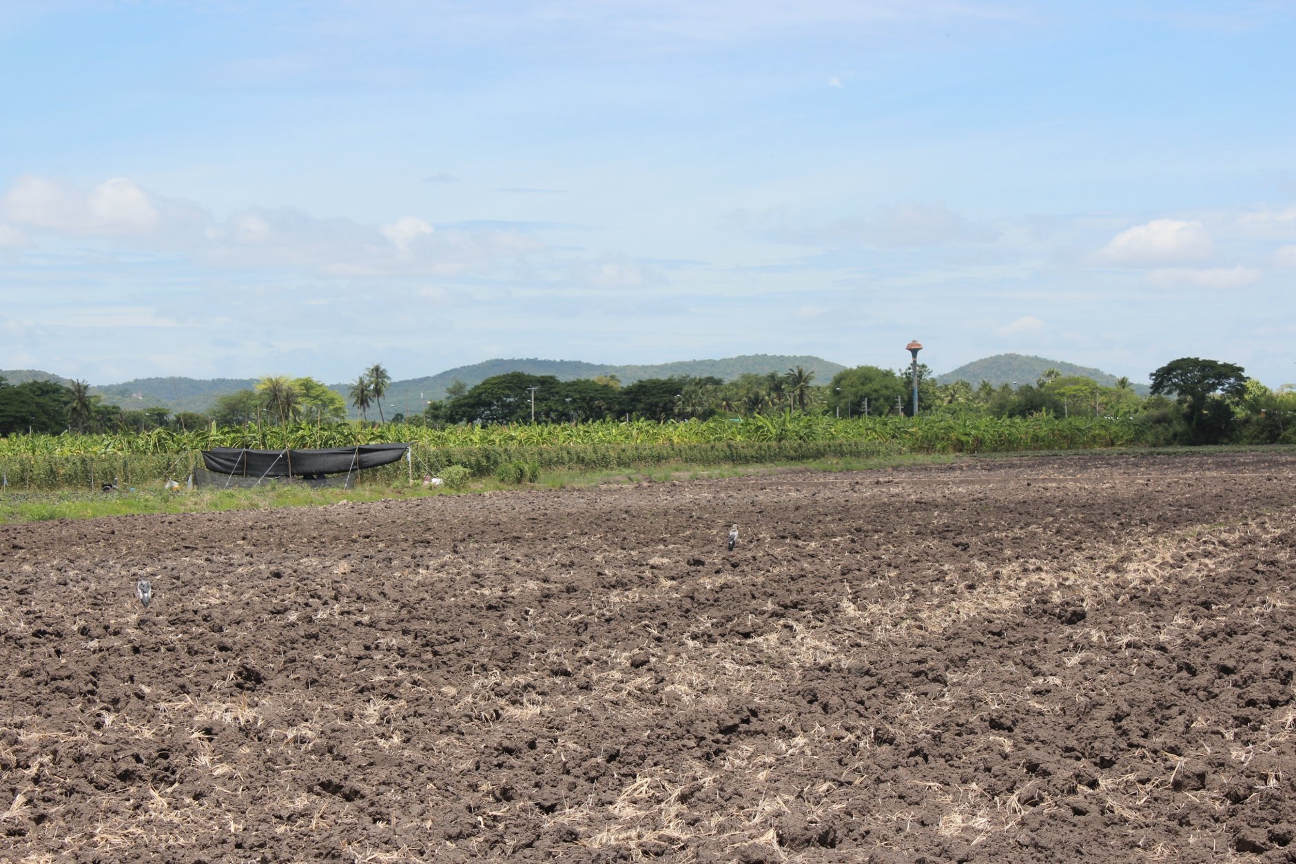 🍄ติดทรัพย์🍄ขายที่ดิน อ.อู่ทอง สุพรรณบุรี ใกล้สวนสวรรค์ ตลาดสีเขียวสุพรรณบุรี 37 ไร่ 1 งาน 93 ตรว ขายยกแปลง 9 ล้าน สถานที่ท่องเที่ยวชมพืชพันธุ์ดอกไม้ ทุ่งทานตะวัน มีถนนตัดผ่านรอบพื้นที่ ทำทางถนนรอบที่ ให้เรียบร้อย มีบ่อบาดาลในที่ 2 บ่อ มีคล