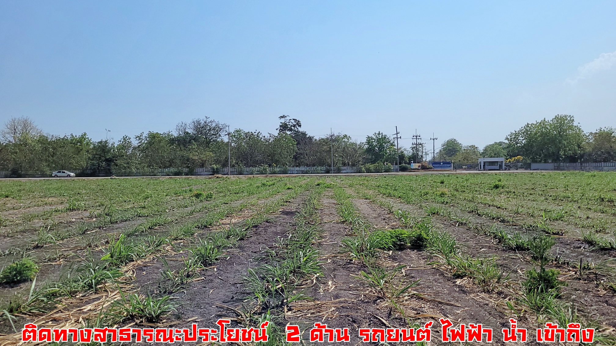 #ขายแล้ว ขายที่ดินแปลงสวย วิวภูเขา ติดถนนลาดยาง ทางสาธารณะ 2 ด้าน ใกล้สถานที่ท่องเที่ยว ตลาดสีเขียว ณ สวนสวรรค์สุพรรณบุรี ทุ่งทานตะวัน ทุ่งดอกกระเจียว ต.พลับพลาชัย อ.อู่ทอง จ. สุพรรณบุรี เนื้อที่ 25 ไร่ ไร่ละ 300,000 บ.