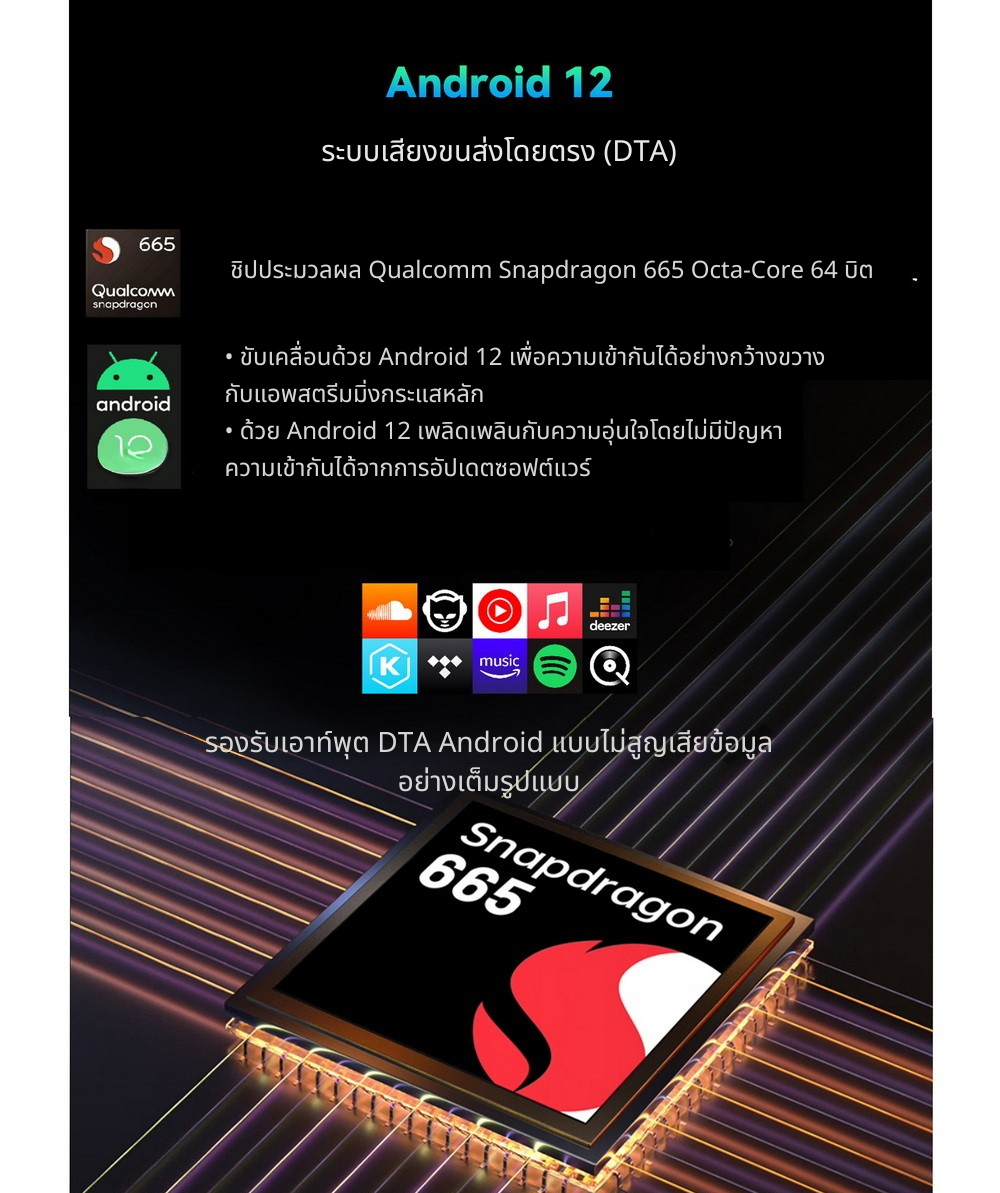 Cayin N6III + C201/E203/R202 เครื่องเล่นเสียงดิจิทัลคุณภาพระดับมาสเตอร์ เปลี่ยนบอร์ดเสียงได้ ประกันศูนย์ไทย