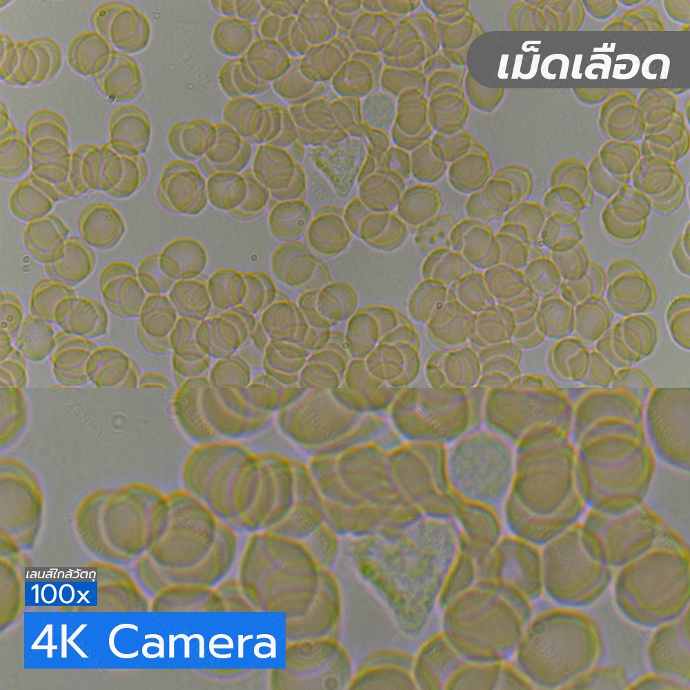 กล้องจุลทรรศน์ Trinocular 2000x ระบบ Infinity มีช่องต่อกล้อง ต่อจอเสริม รุ่น CM2000