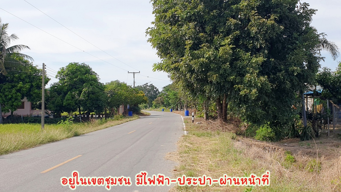 💰ติดทรัพย์💰ขายสวนมะม่วงน้ำดอกไม้สีทอง 6 ไร่ 3 งาน 70 ตารางวา ขายยกแปลง 4.8 ล้าน อ.เมือง จ.สุพรรณบุรี หน้ากว้างติดถนน 64 เมตร ลึก 172 เมตร ที่ดินติดถนนลาดยางทางหลวงชนบท 3006