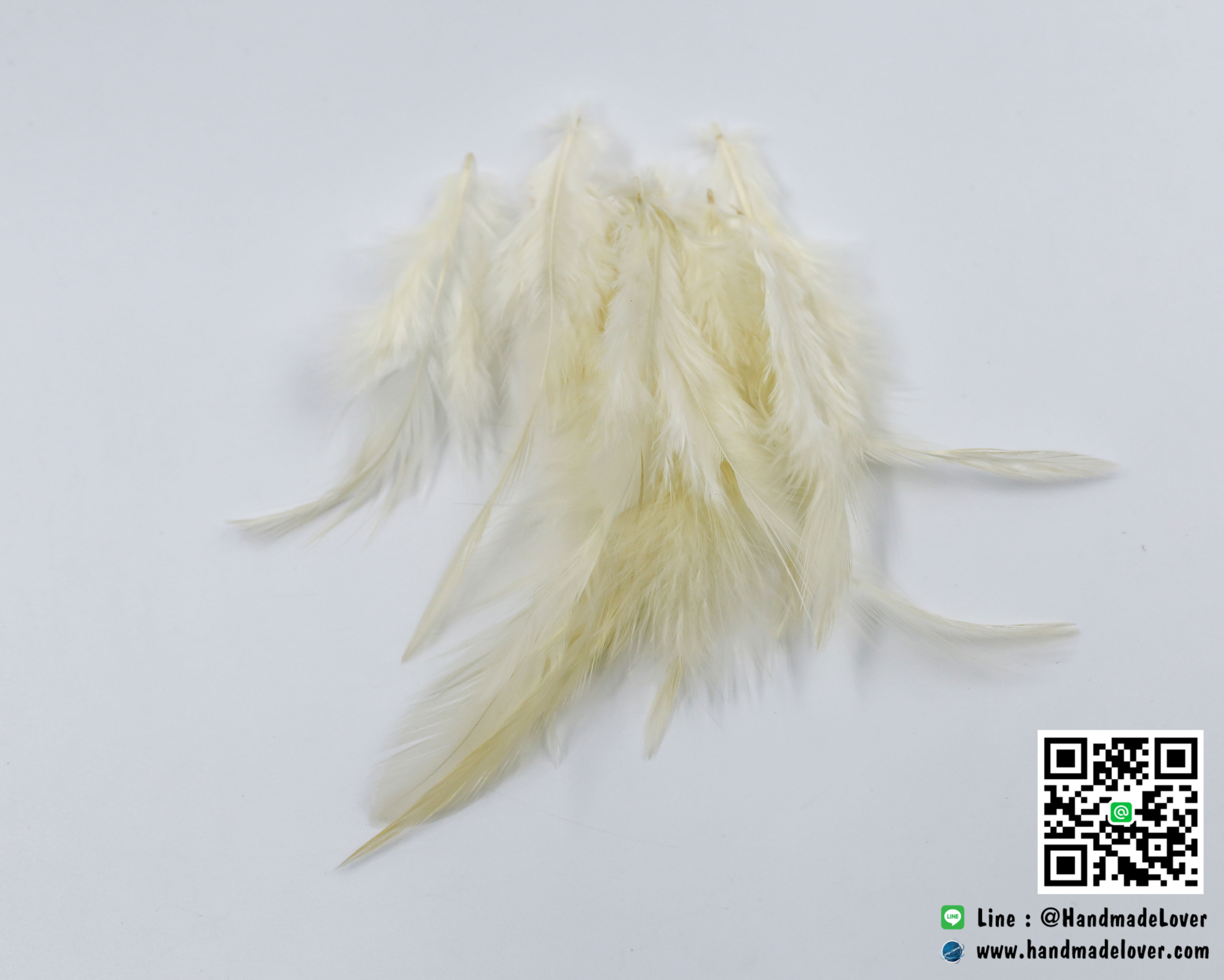 ขนนก สีครีม คละไซต์ แพ็ค 20 ก้าน