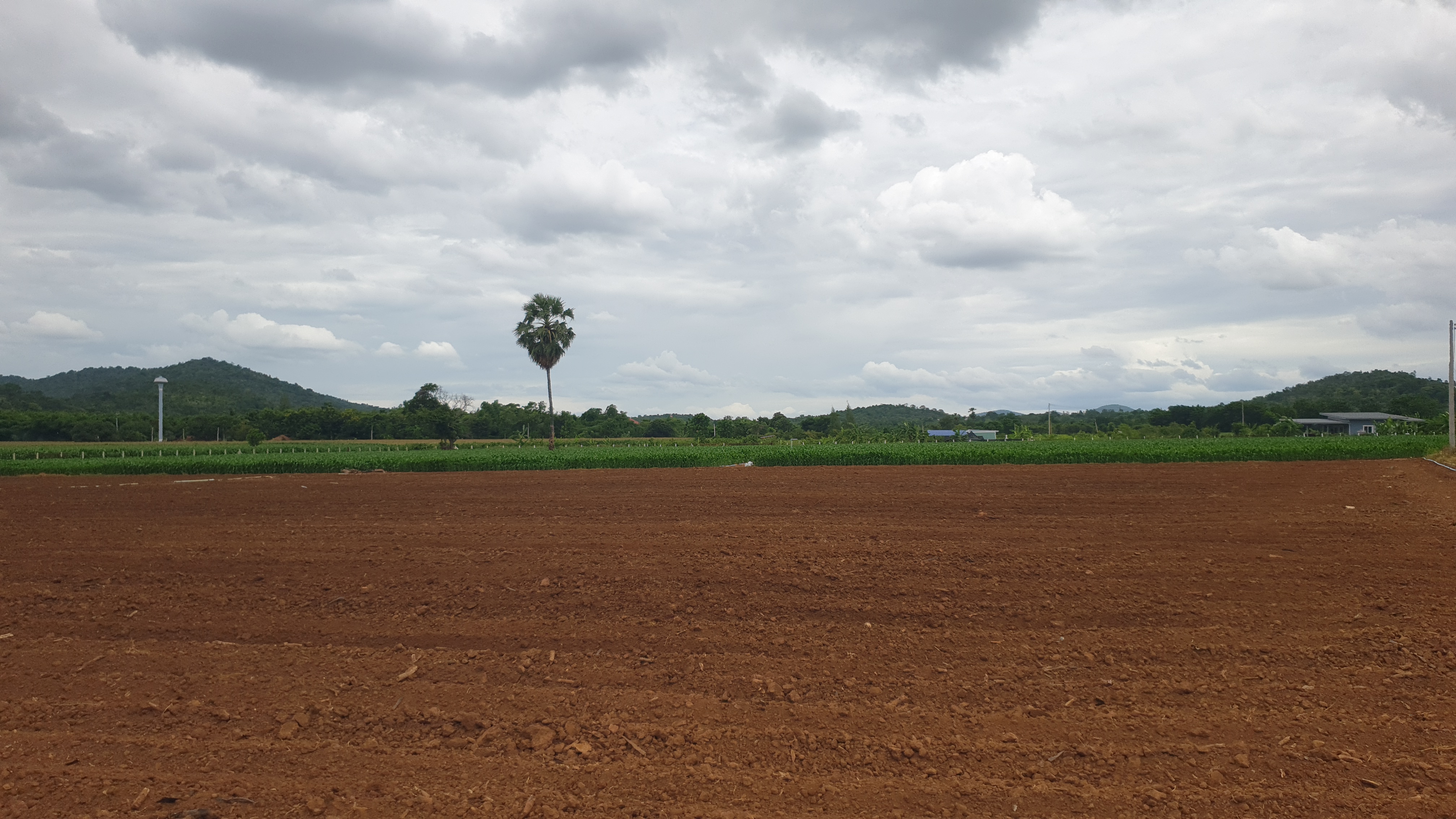 ขายที่ดินสวย 12 ไร่ 2 งาน 53.5 ตร.ว. หน้ากว้างติดถนนสาธารณะ 193 ม. วิวภูเขา 180° อากาศดี เงียบสงบ เหมาะทำบ้านพัก รีสอร์ต หรือเกษตรครบวงจร โอบล้อมด้วยทิวเขา 180° วิวอลังการเต็มตา บรรยากาศธรรมชาติสุดฟิน