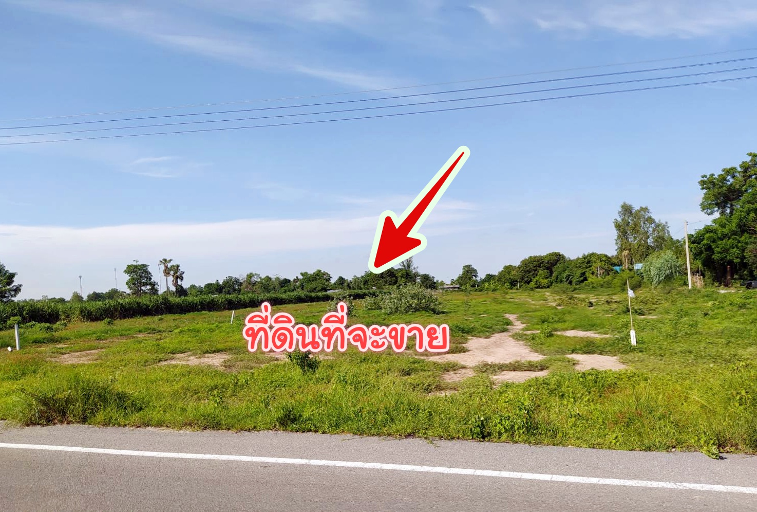 ขายที่ดินแปลงสวย อ.อู่ทอง จ.สุพรรณบุรี ที่ดินเนื้อที่ 3-2-63 ไร่ ขายยกแปลง 1.65 ล้าน รวมค่าโอน ติดถนนลาดยางหน้ากว้างประมาณ 39 เมตร ลึก 180 เมตร ด้านหน้าติดถนนลาดยาง ด้านท้ายติดลำห้วย ทางหลวงแผ่นดินสายอู่ทอง- สระกระโจม (สาย 333) เข้ามา 500 เมตร