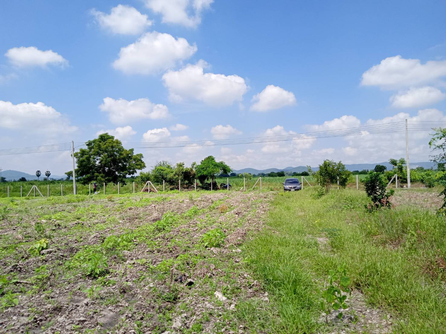 ขายด่วน! ที่ดินทำเลทอง วิวสวย ใกล้ชิดธรรมชาติ ที่ดิน 2 ไร่ บรรยากาศสุดฟิน วิวภูเขาเตะตา ไร่ละ 499,990 บาท (รวมค่าโอนและภาษีทั้งหมด) ต.พลับพลาชัย อ.อู่ทอง จ.สุพรรณบุรี ทำเลดีเยี่ยม: ติดถนนคอนกรีตขนาดกว้าง รถสวนกันได้สะดวก