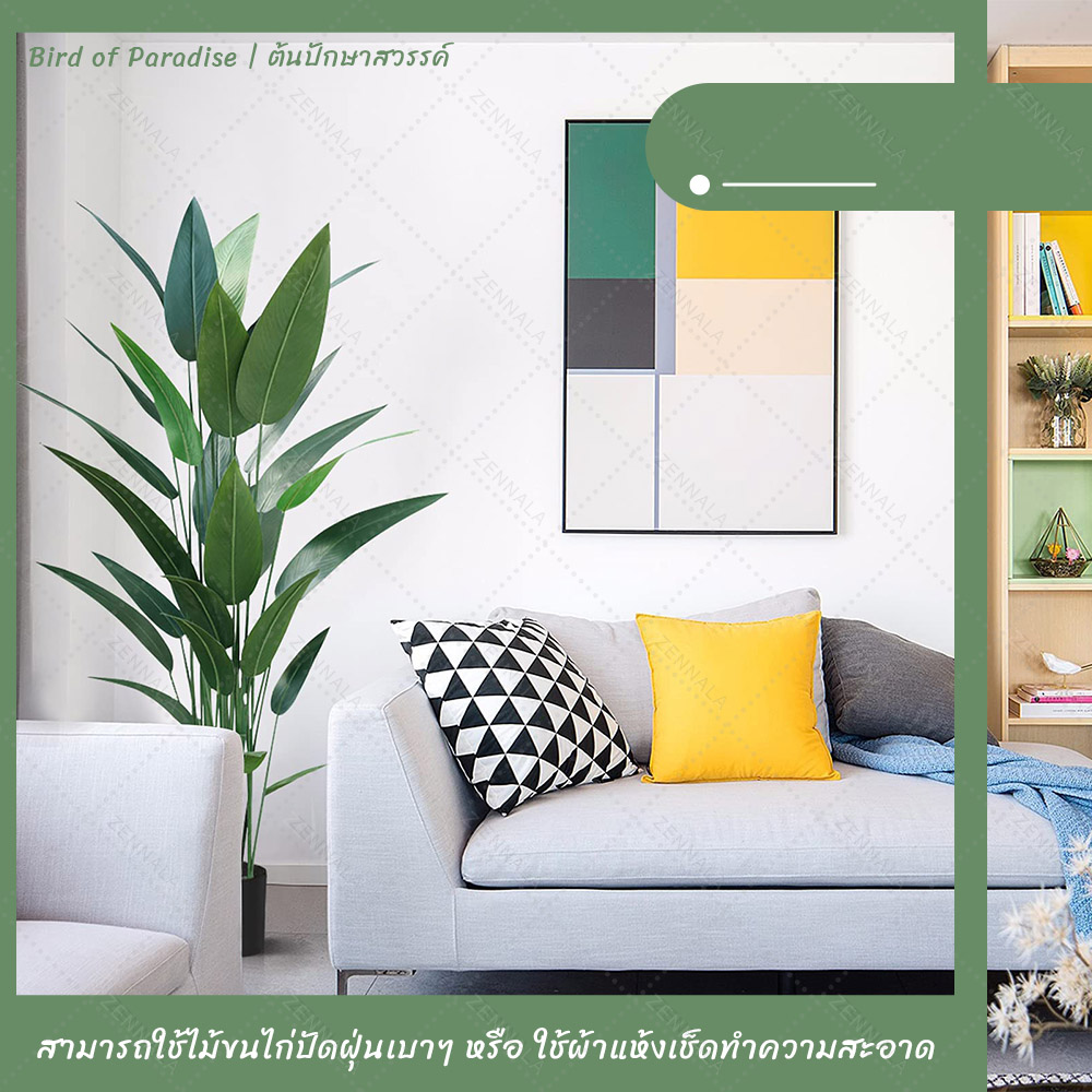 ต้น Bird of Paradise ต้นปักษาสวรรค์ พร้อมกระถางดำ มี 2 ไซส์ให้เลือก