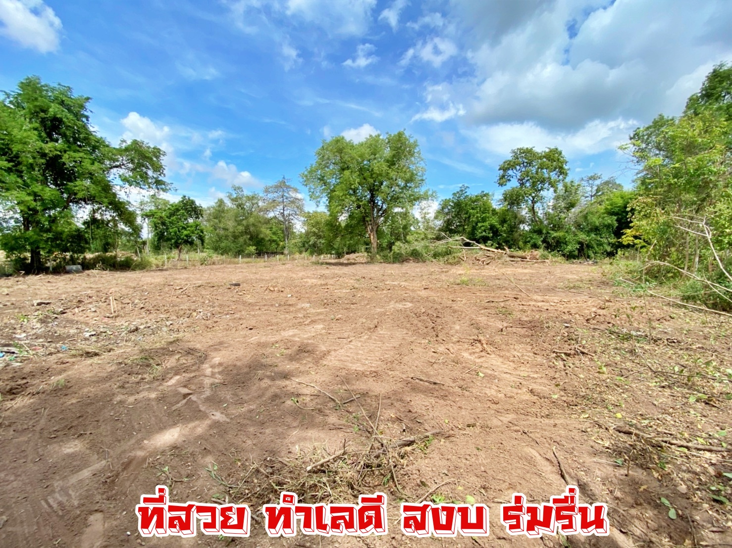 ขายที่ดิน ทำเลดี ต.โคกสูง จ.นครราชสีมา ใกล้ รร.บุญเหลือ ถนนสุรนารายณ์ 1-2-72 ไร่ ขายยกแปลง 5.6 ล้านที่สวย ทำเลดี สาธารณูปโภคครบครัน ใกล้แหล่งชุมชน ติดถนนคอนกรีตกว้าง รถวิ่งสวนได้สบาย เข้า-ออก ได้หลายช่องทาง