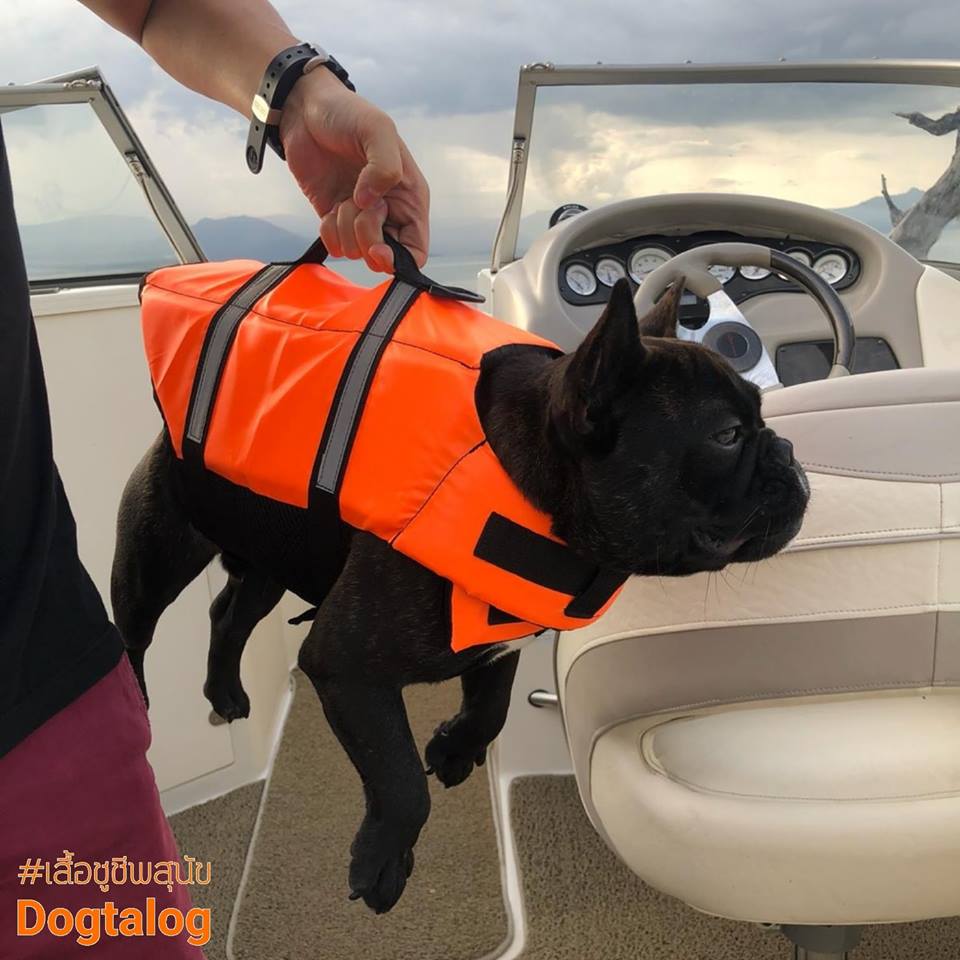 เสื้อชูชีพสุนัข Dogtalog แบบมีรองคอถอดได้ : สีส้ม