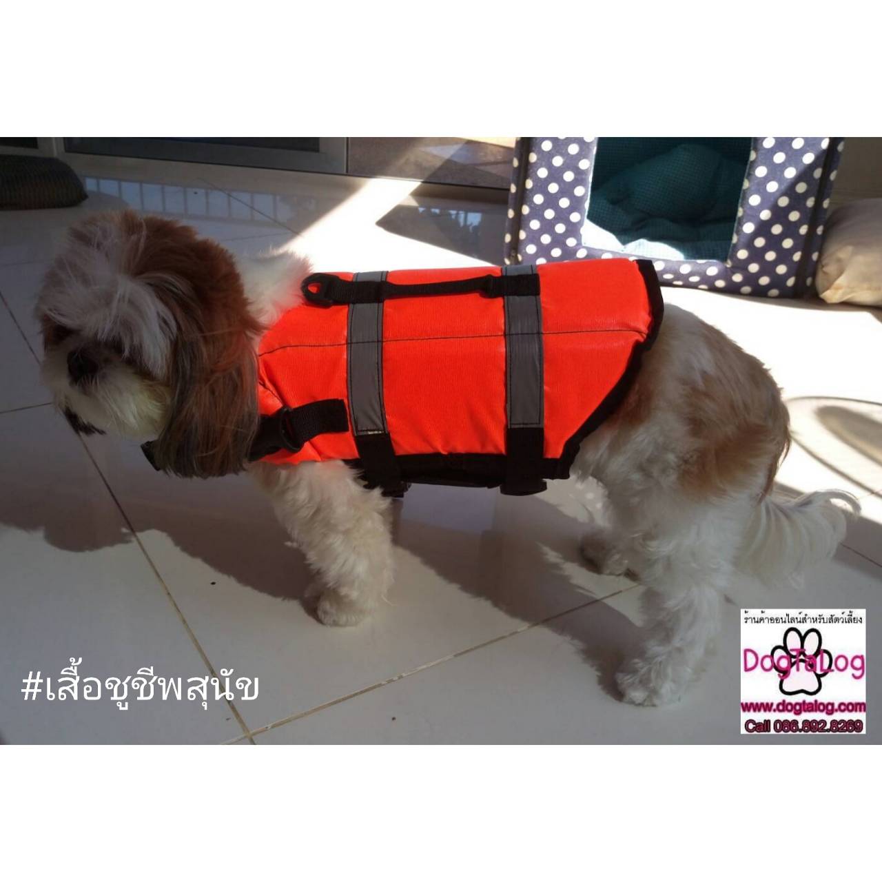 เสื้อชูชีพสุนัข Dogtalog แบบมีรองคอถอดได้ : สีส้ม