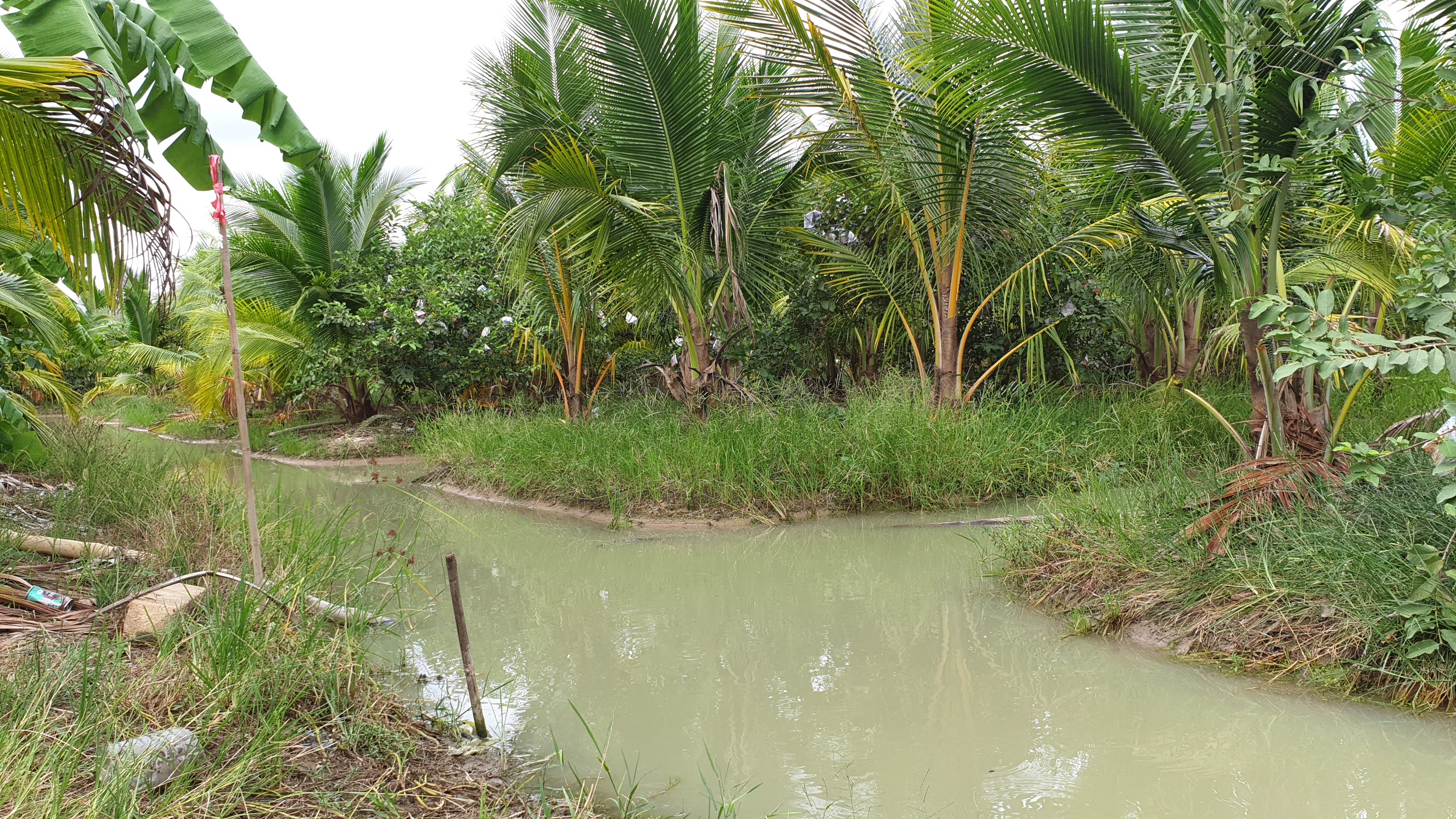 💰ขายแล้ว💰ขายที่ดินสวนมะพร้าวน้ำหอม อ.อู่ทอง จ.สุพรรณบุรี เนื้อที่ 20 ไร่ พร้อมบ้านสวยพร้อมอยู่ ขายยกแปลง 12 ล้าน บรรยากาศดี สงบ ร่มรื่น น้ำท่า อุดมสมบูรณ์