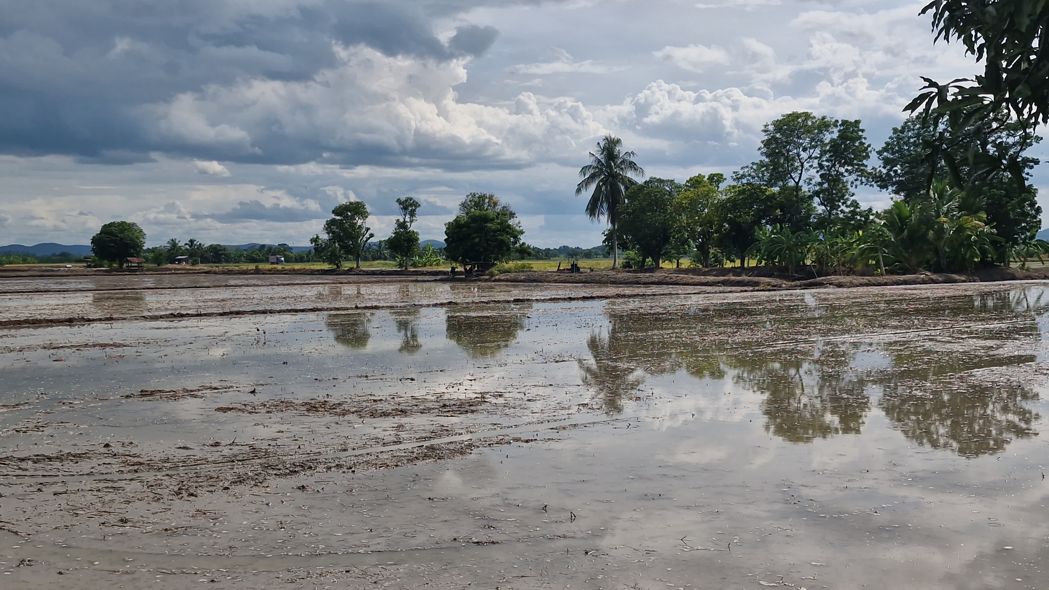 ที่ดินสวย 8 ไร่ 3 งาน 43 ตร.ว. อู่ทอง สุพรรณบุรี หน้ากว้างติดถนนลาดยาง 127 ม. ลึก 153 ม. ทำเลดี มีบ่อน้ำธรรมชาติ ขายเพียง 3.39 ล้าน เหมาะลงทุนหรือทำโครงการ หรือปลูกบ้านพักยามเกษียน ทำเกษตรพอเพียงหรือโคกหนองนา✨