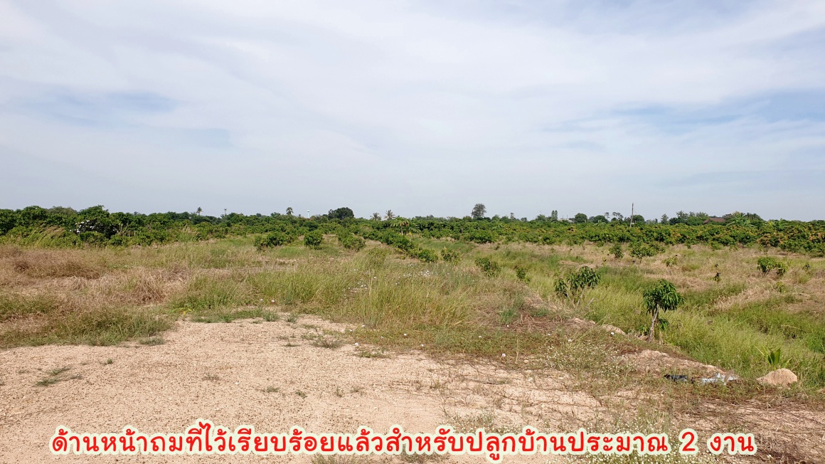 💰ติดทรัพย์💰ขายสวนมะม่วงน้ำดอกไม้สีทอง 6 ไร่ 3 งาน 70 ตารางวา ขายยกแปลง 4.8 ล้าน อ.เมือง จ.สุพรรณบุรี หน้ากว้างติดถนน 64 เมตร ลึก 172 เมตร ที่ดินติดถนนลาดยางทางหลวงชนบท 3006