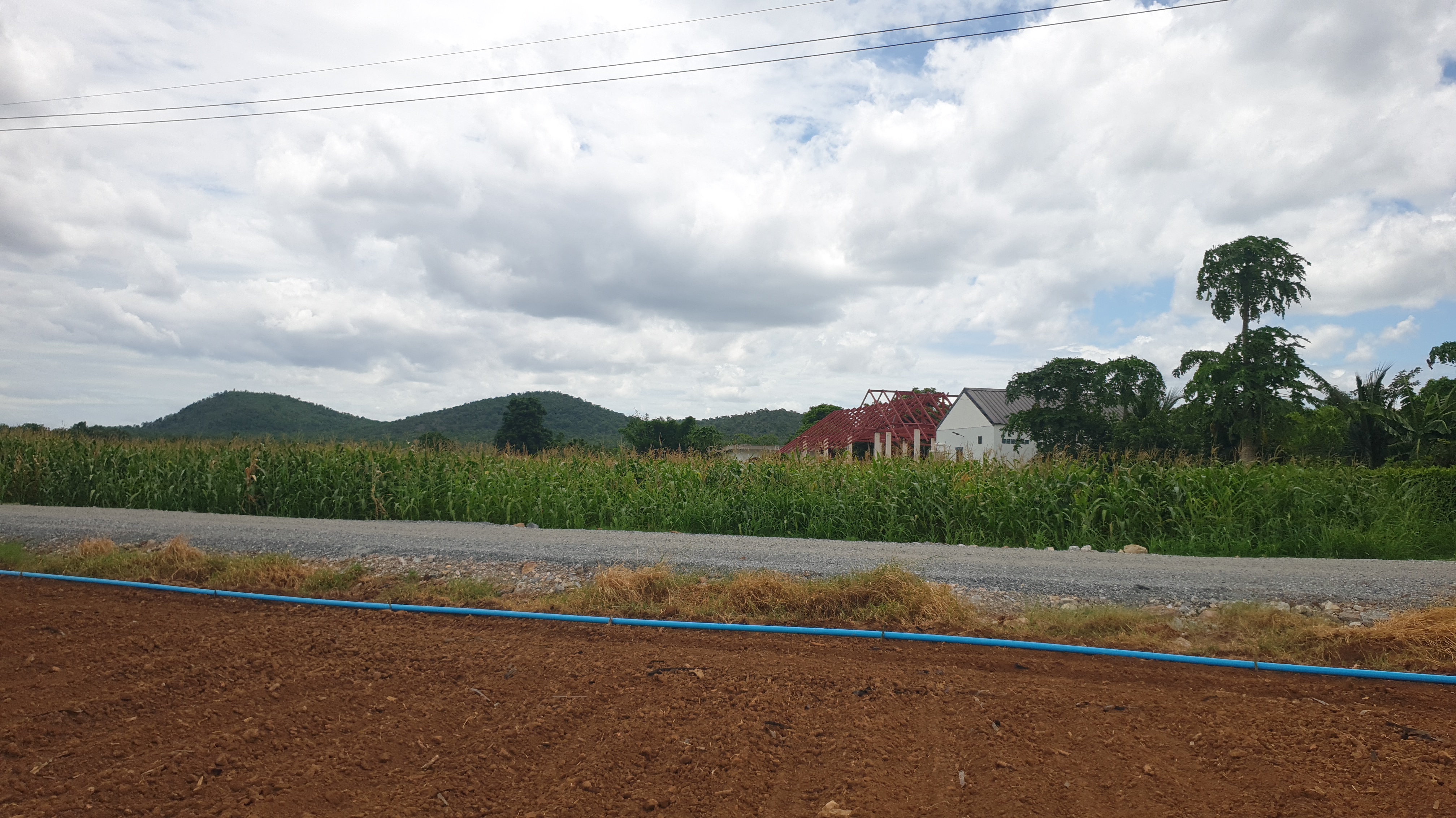 ขายที่ดินสวย 12 ไร่ 2 งาน 53.5 ตร.ว. หน้ากว้างติดถนนสาธารณะ 193 ม. วิวภูเขา 180° อากาศดี เงียบสงบ เหมาะทำบ้านพัก รีสอร์ต หรือเกษตรครบวงจร โอบล้อมด้วยทิวเขา 180° วิวอลังการเต็มตา บรรยากาศธรรมชาติสุดฟิน