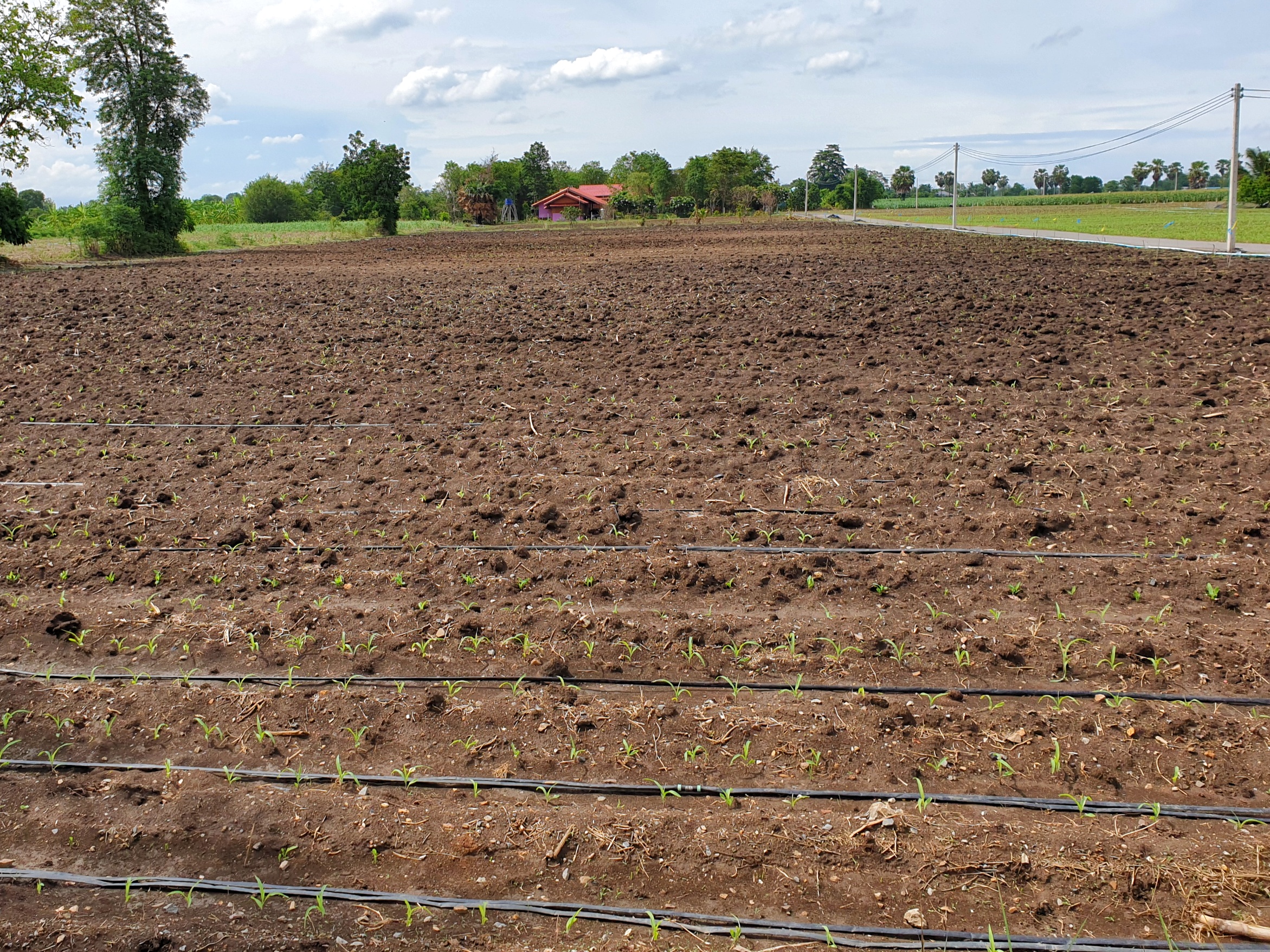 💰ขายแล้ว💰ขายที่ดินสวย ทำเลดี 3 ไร่ 2 งาน อ.อู่ทอง จ.สุพรรณบุรี ติดถนนลาดยาง ท่ามกลางธรรมชาติ วิวภูเขา