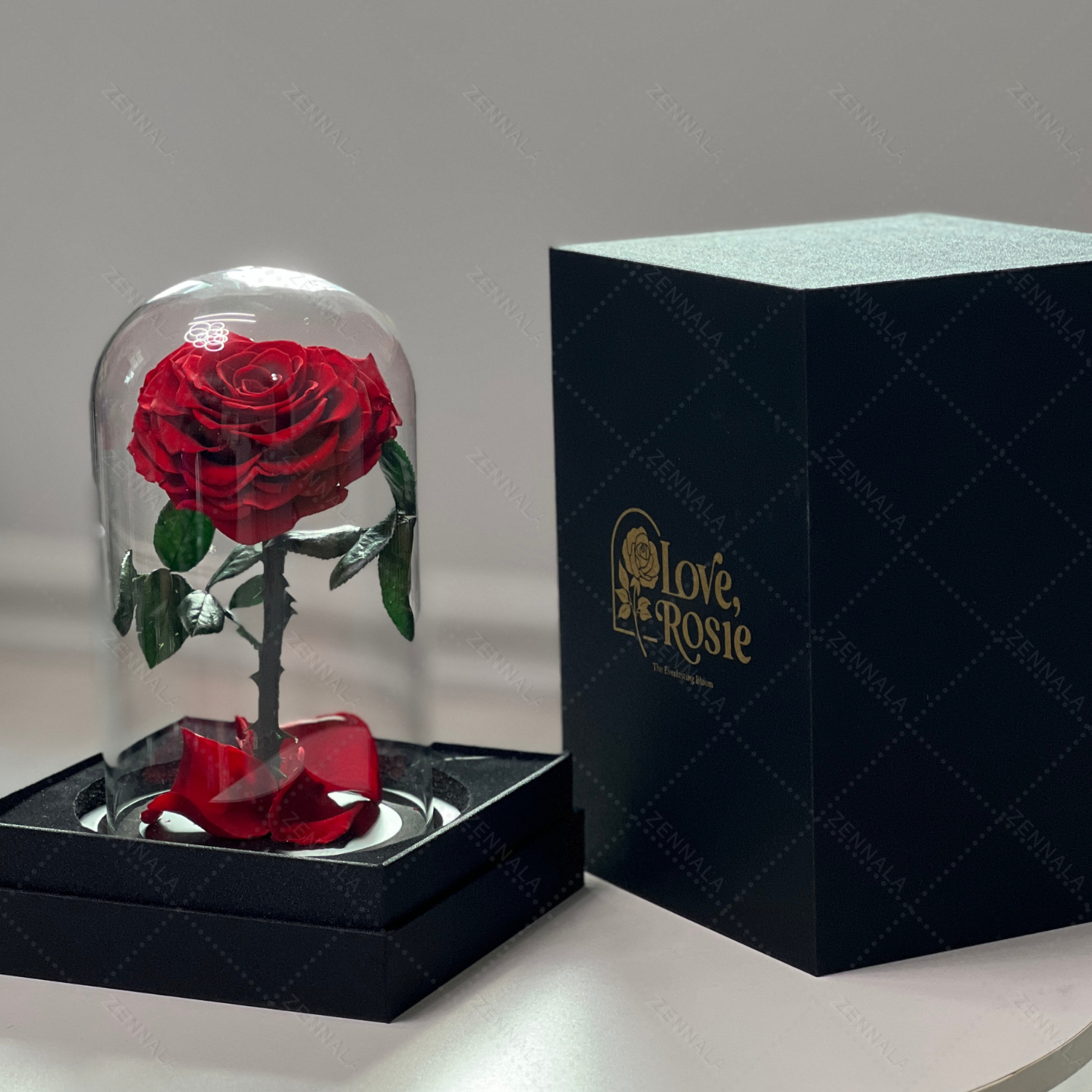 กุหลาบสดในโหลแก้ว ทรงหัวใจ มี 4 สีให้เลือก พร้อมกล่องสุด Premium