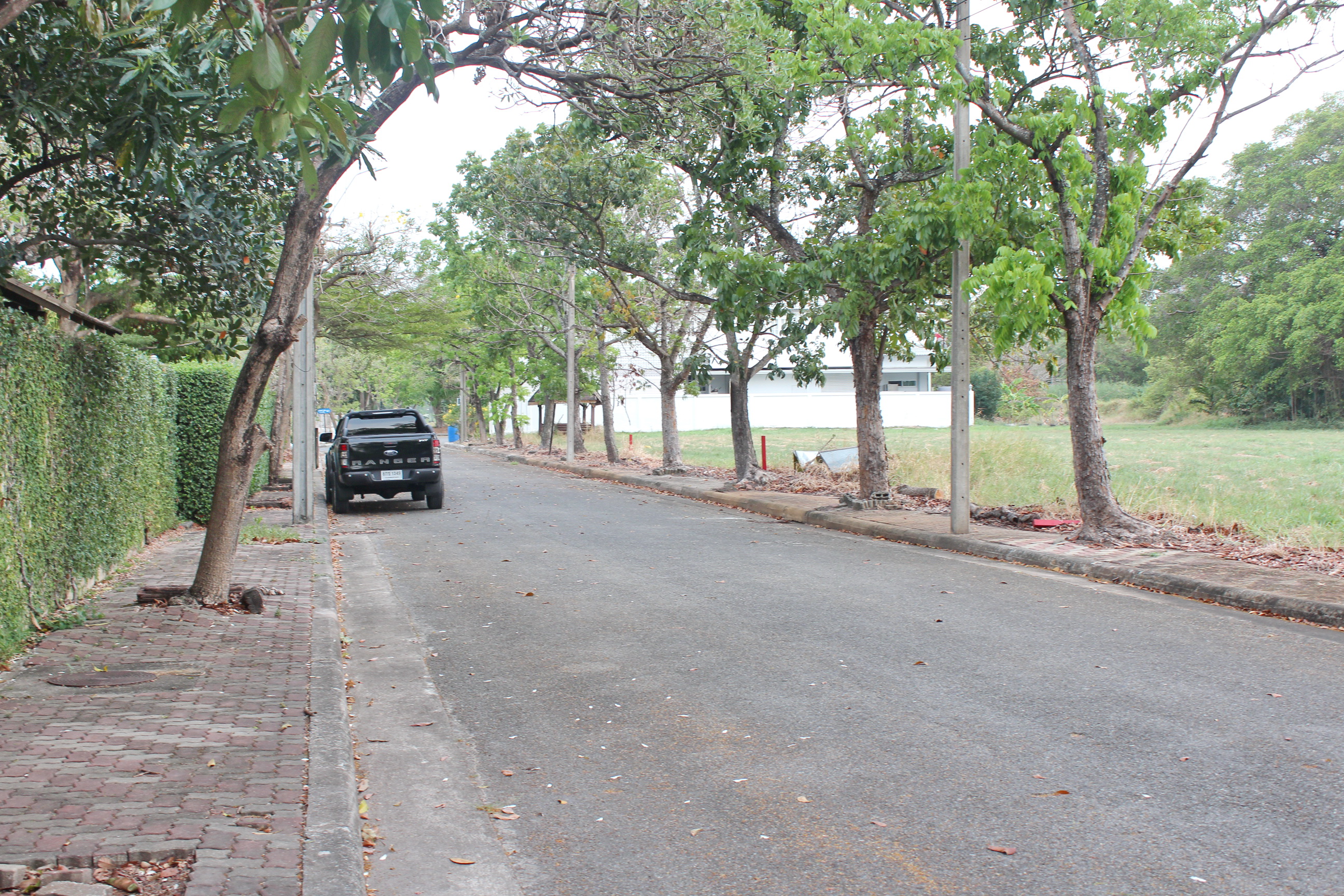 ขายที่ดินเปล่า สนามกอล์ฟเลควูด คันทรีคลับ บางพลี บางนาตราด กม.18 เนื้อที่ 1-0-15 ไร่ หรือ 415 ตร.ว บรรยากาศเป็นส่วนตัว หรู มีระดับ เหมาะสร้างที่อยู่อาศัย