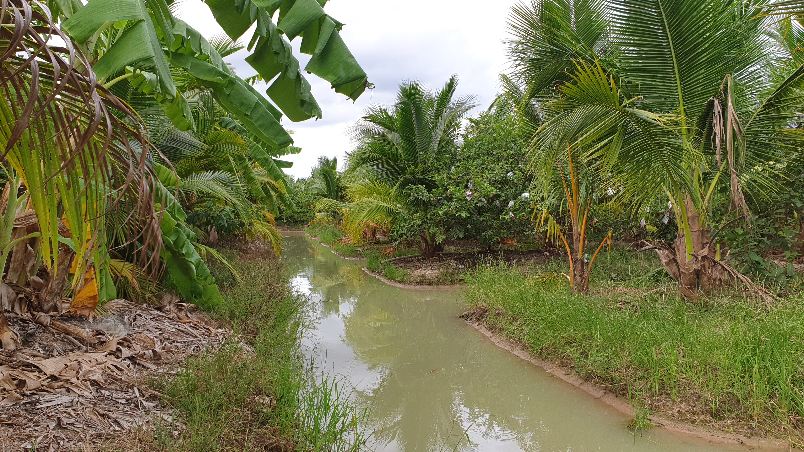 💰ขายแล้ว💰ขายที่ดินสวนมะพร้าวน้ำหอม อ.อู่ทอง จ.สุพรรณบุรี เนื้อที่ 20 ไร่ พร้อมบ้านสวยพร้อมอยู่ ขายยกแปลง 12 ล้าน บรรยากาศดี สงบ ร่มรื่น น้ำท่า อุดมสมบูรณ์