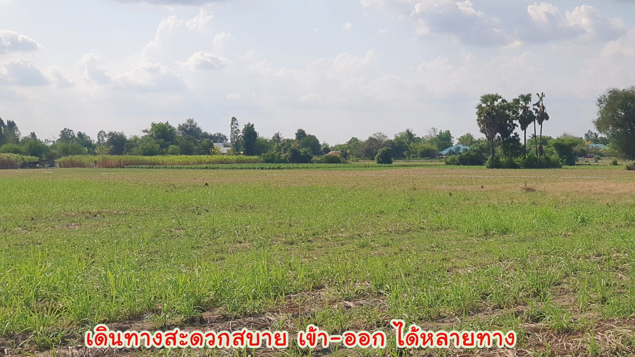 ขายที่ดินทำเลดี ติดถนนทางหลวง 333 อู่ทอง-สระกระโจม เนื้อที่ 97 ไร่ 3 งาน 27 ตรว ไร่ละ 260,000 บ. มีโครงการจะขยาย 4 เลน หน้ากว้างติดถนน 208 เมตร มีทางสาธารณะรอบที่