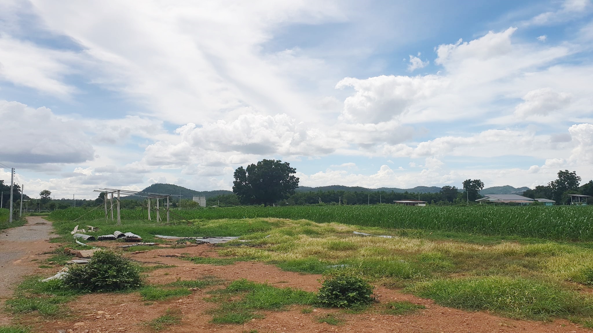 ขายที่ดินวิวภูเขา ชัดรอบทิศ วิวร้อยล้าน ขายราคาหลักแสน ต.พลับพลาไชย อ.อู่ทอง จ.สุพรรณบุรี เนื้อที่ 11 ไร่ 2 งาน 28 ตรว ไร่ละ 480,000 บ. ทางสาธารณะกว้าง 6 เมตร วิวเขา 180 องศา จากถนนทางหลวงชนบทลาดยางเข้ามาประมาณ 80 เมตร ดินดี ที่สวย บรรยากาศดี วิวภูเขารอบท