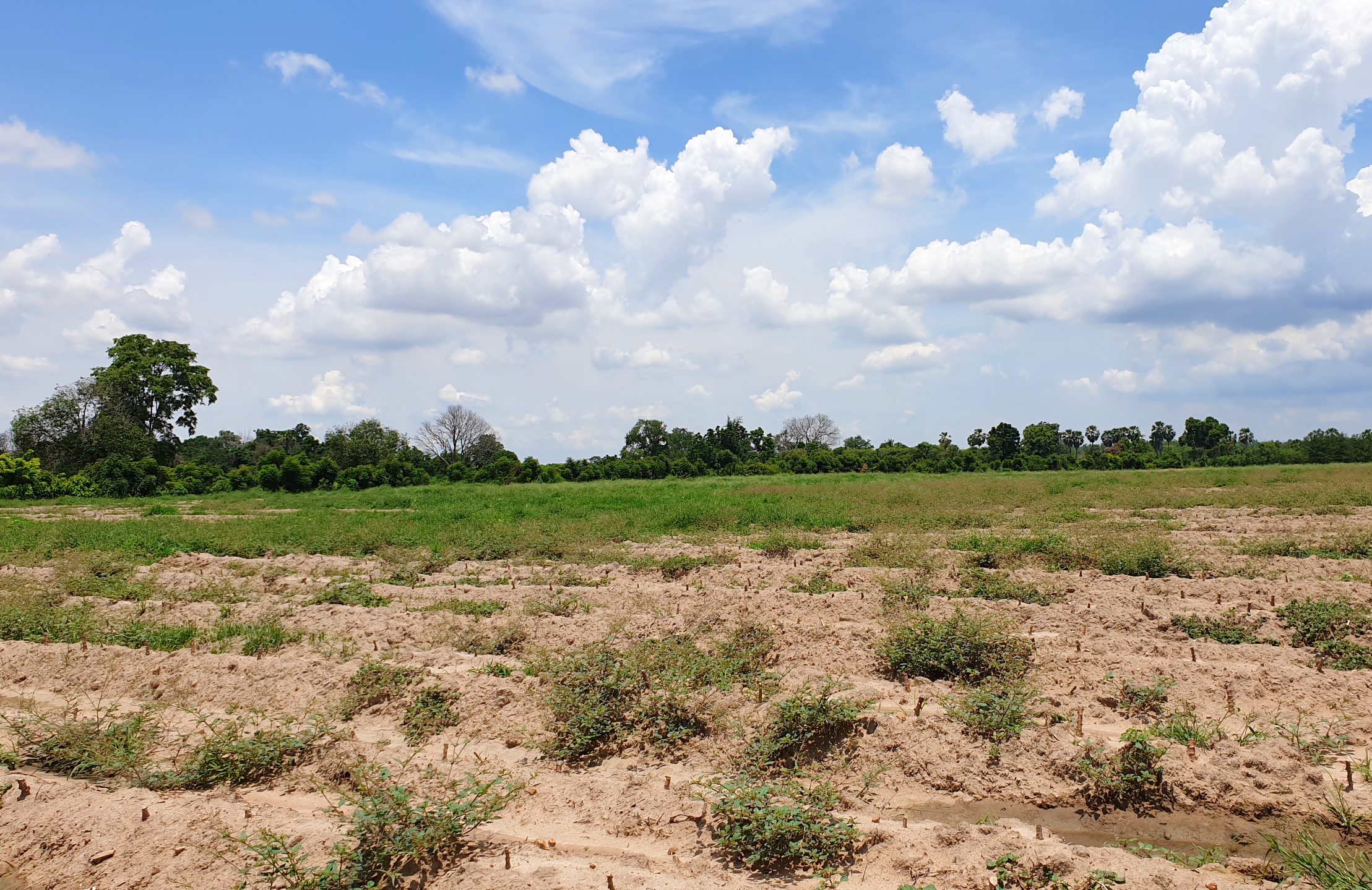 💰ขายแล้ว💰ขายที่ดินติดถนนลาดยาง ทำเลดี ที่สวยมาก จ.สุพรรณบุรี อ.ดอนเจดีย์ บรรยากาศดี วิวสวย วิวภูเขา เนื้อที่ 26-3-44 ไร่ พื้นที่มีความเจริญ การเดินทางสะดวกสบาย