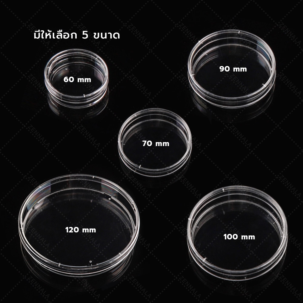 จานเพาะเชื้อ พลาสติก Disposable Plastic Petri Dishes มีให้เลือก 5 ขนาด
