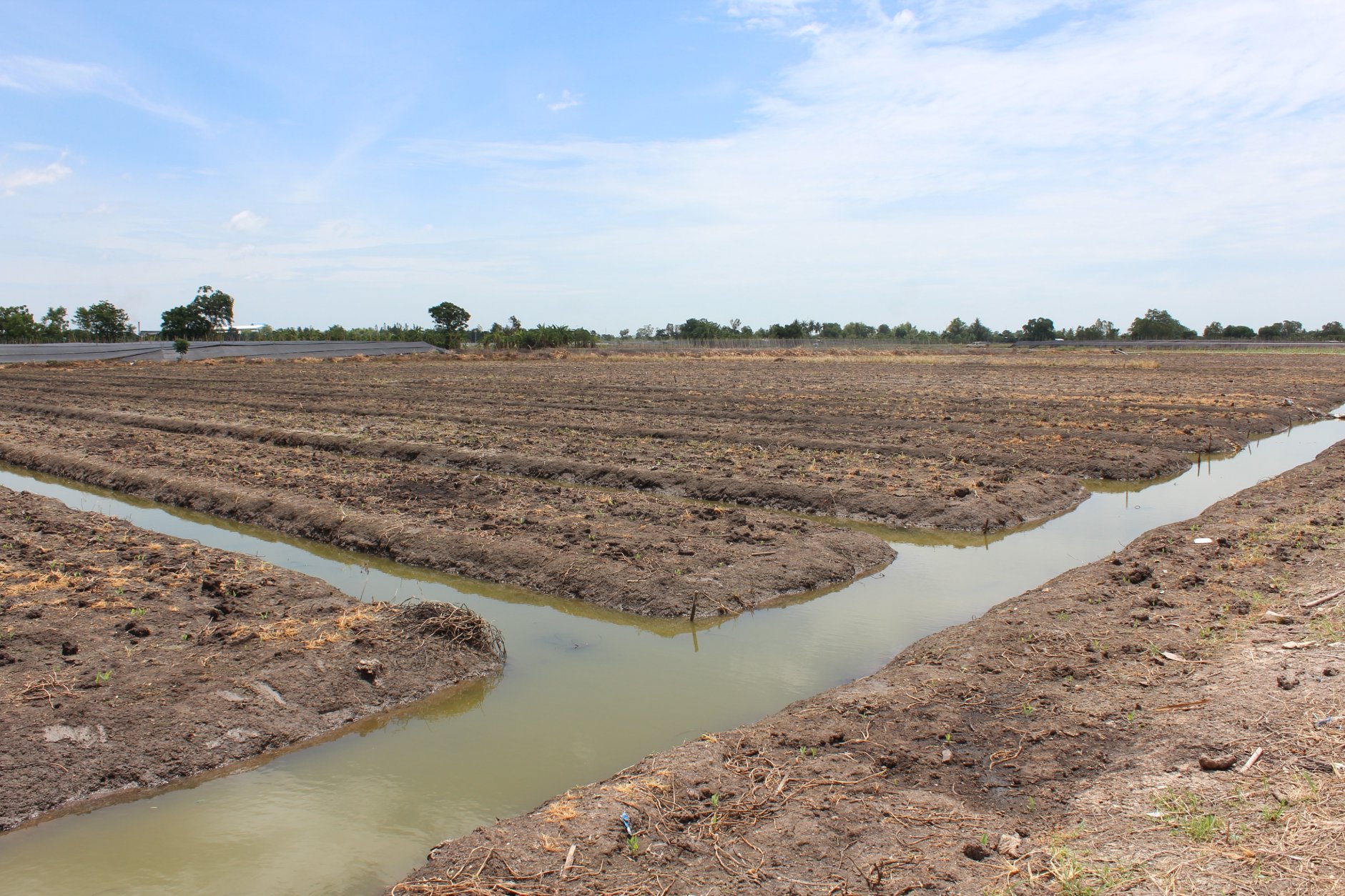 🍄ติดทรัพย์🍄ขายที่ดิน อ.อู่ทอง สุพรรณบุรี ใกล้สวนสวรรค์ ตลาดสีเขียวสุพรรณบุรี 37 ไร่ 1 งาน 93 ตรว ขายยกแปลง 9 ล้าน สถานที่ท่องเที่ยวชมพืชพันธุ์ดอกไม้ ทุ่งทานตะวัน มีถนนตัดผ่านรอบพื้นที่ ทำทางถนนรอบที่ ให้เรียบร้อย มีบ่อบาดาลในที่ 2 บ่อ มีคล