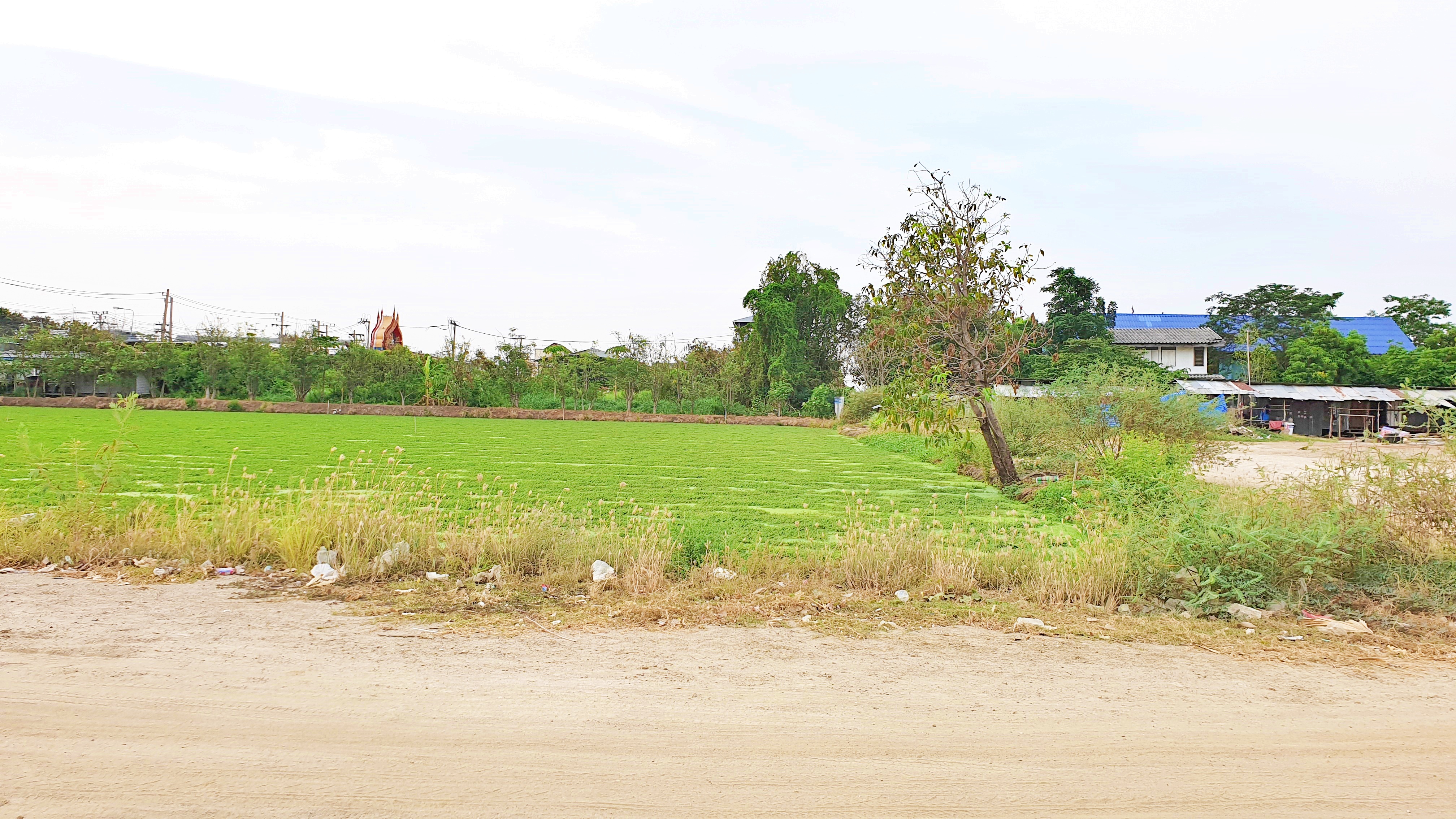 ขายที่ดินแปลงสวย ทำเลดี ติดถนนใหญ่ 4 เลน ถนนวัดศรีวารีน้อย บางนาตราด กม. 17 ลาดกระบัง 54 ขนาดที่ดิน 2 ไร่ 3 งาน 97 ตรว (ตรว.ละ45,000 บาท) หน้ากว้างติดถนนใหญ่ 65 เมตร ที่ดินสวยเป็นรูปทรงสี่เหลี่ยมจัตรัส การเดินทาง สะดวก สบาย สามารถเข้าออกได้ 2 ทาง ถนนบางนา