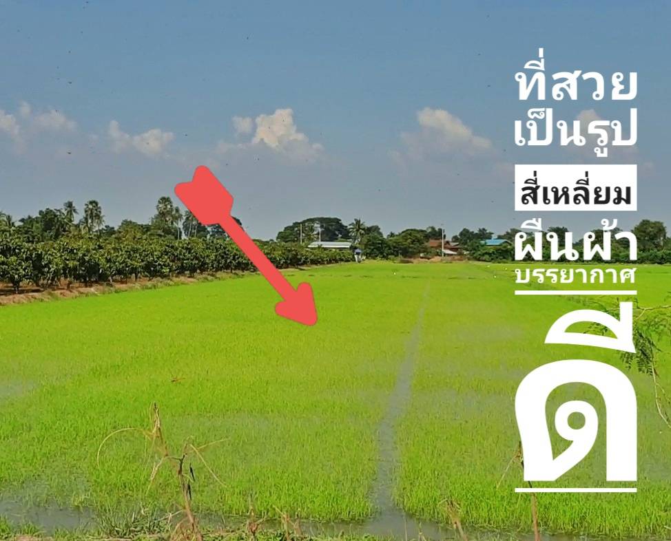 💰ขายแล้ว💰ขายที่ดินแปลงสวย ทำเลดี ติดถนนลาดยาง อ.เมือง จ.สุพรรณบุรี เนื้อที่ 5 ไร่ บรรยากาศดี วิวทิวทัศน์สวยงาม สงบร่มรื่น อยู่ในเขตชุมชน