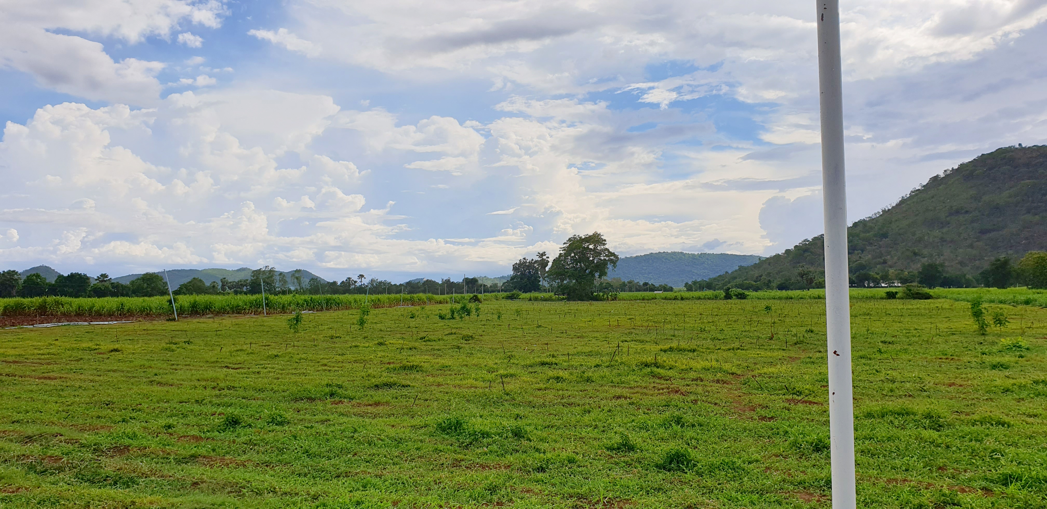💰ขายแล้ว💰ขายที่ดินวิวสวย ติดถนนลาดยาง บรรยากาศดี วิวทิวทัศน์สวยงาม อ.อู่ทอง จ.สุพรรณบุรี เนื้อที่ 10 ไร่ ราคาไร่ละ 280,000 บาท ด้านหน้าติดถนนลาดยาง เข้า-ออก ได้หลายทาง