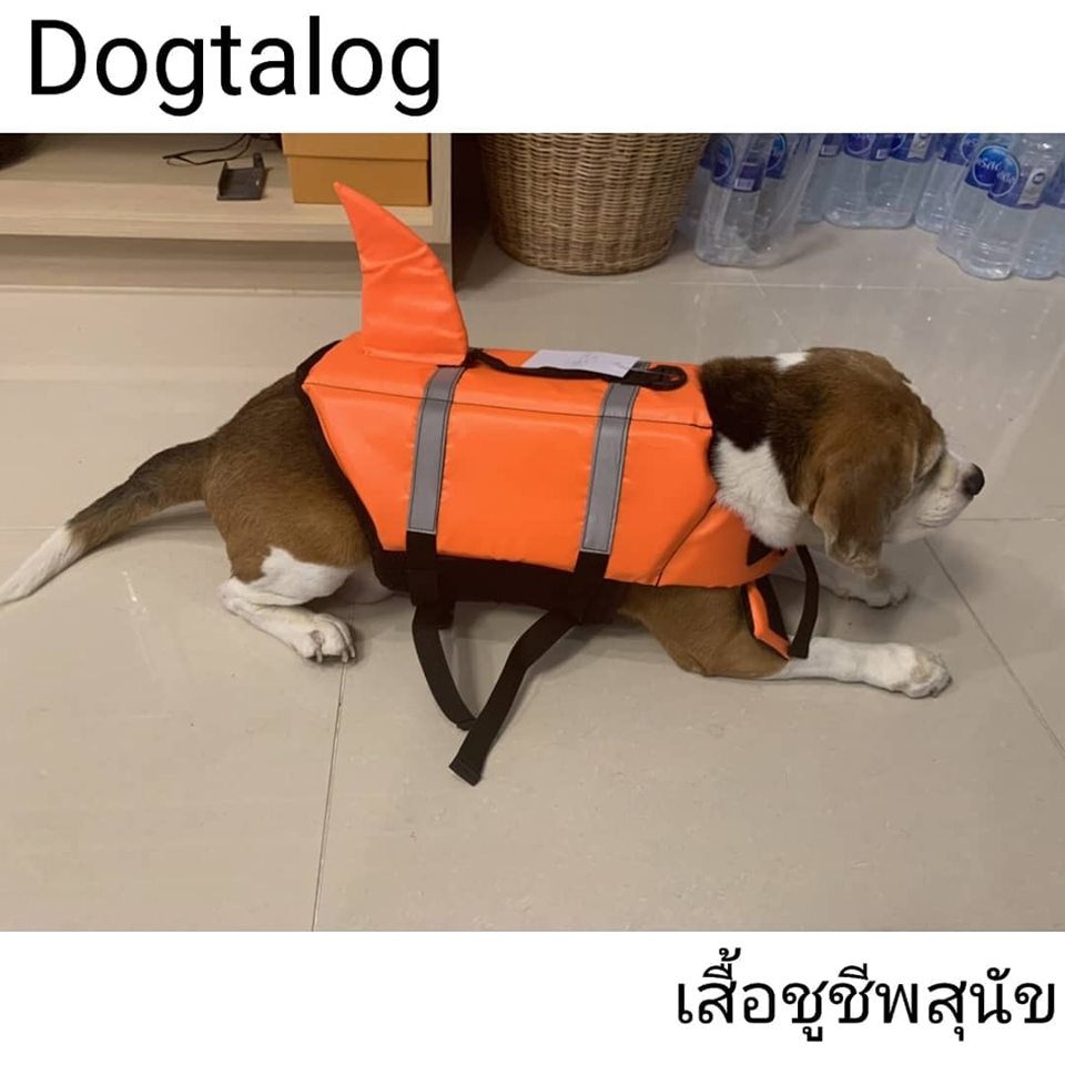 เสื้อชูชีพสุนัขแบบหางฉลาม : สีส้ม