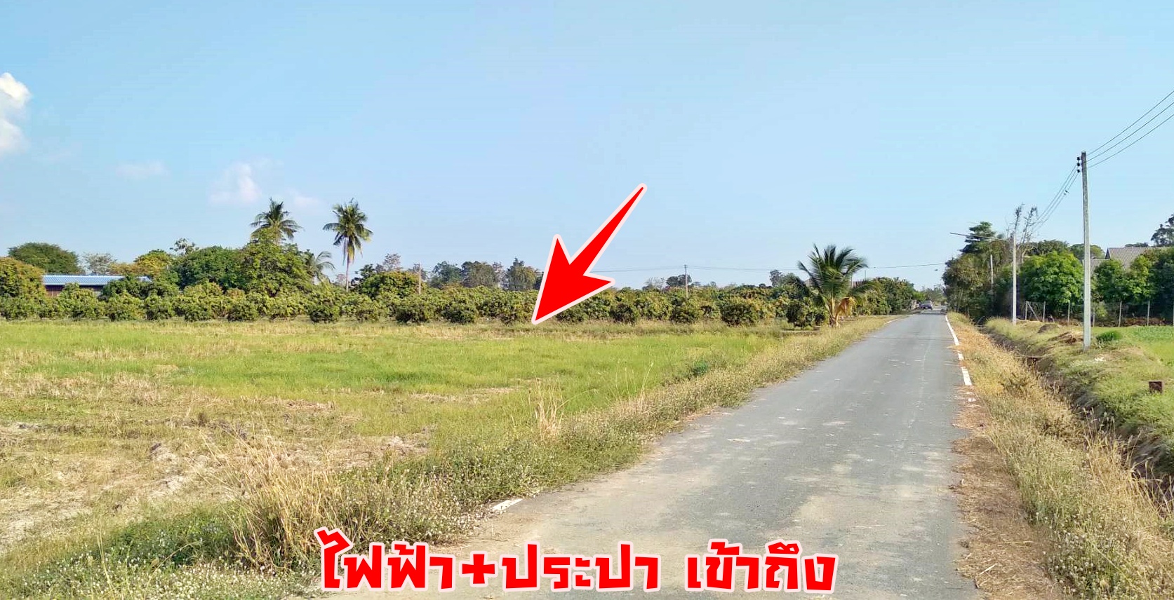 💰ขายแล้ว💰ขายที่ดินสวย ทำเลดีติดถนน อ.เมือง จ.สุพรรณบุรี เนื้อที่ 2 ไร่ ข ายยกแปลง 1,100,000 บาท ที่ดินติดถนนลาดยาง อยู่ใกล้คลองชลประทาน คลองมะขามเฒ่า-อู่ทอง ห่าง 150 เมตร ใกล้ถนนทางหลวงชนบท สพ 4059 เส้นไปดอนเจดีย์ห่าง 150 เมตร