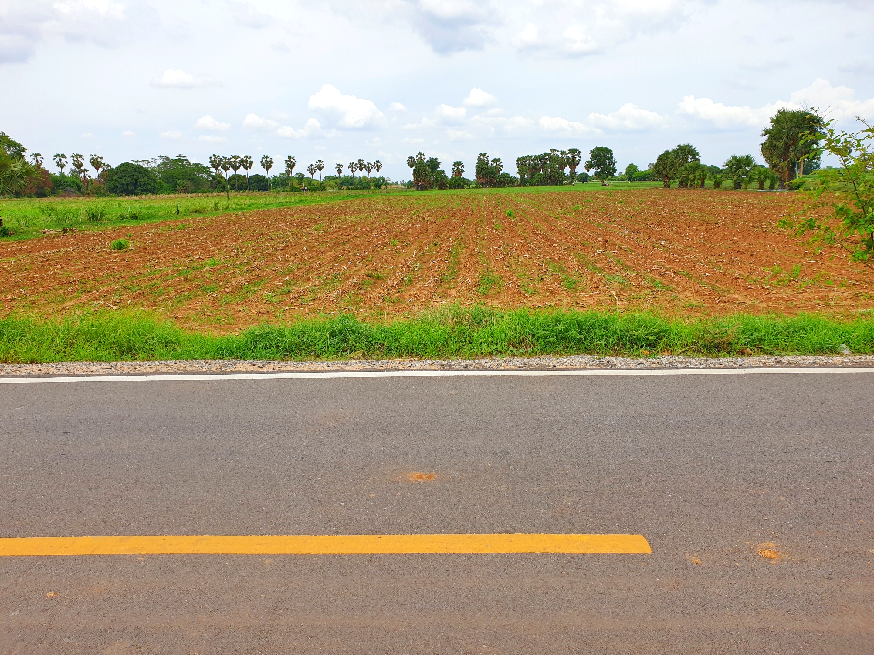 💰ขายแล้ว💰ขายที่ดินติดถนนลาดยาง วิวภูเขา อ.อู่ทอง จ. สุพรรณบุรี เนื้อที่ 9-3-18 ไร่ ขายไร่ละ 2.5 แสน ที่สวยบรรยากาศดี วิวทิวทัศน์สวยงาม ใกล้แหล่งชุมชน น้ำไฟเข้าถึง
