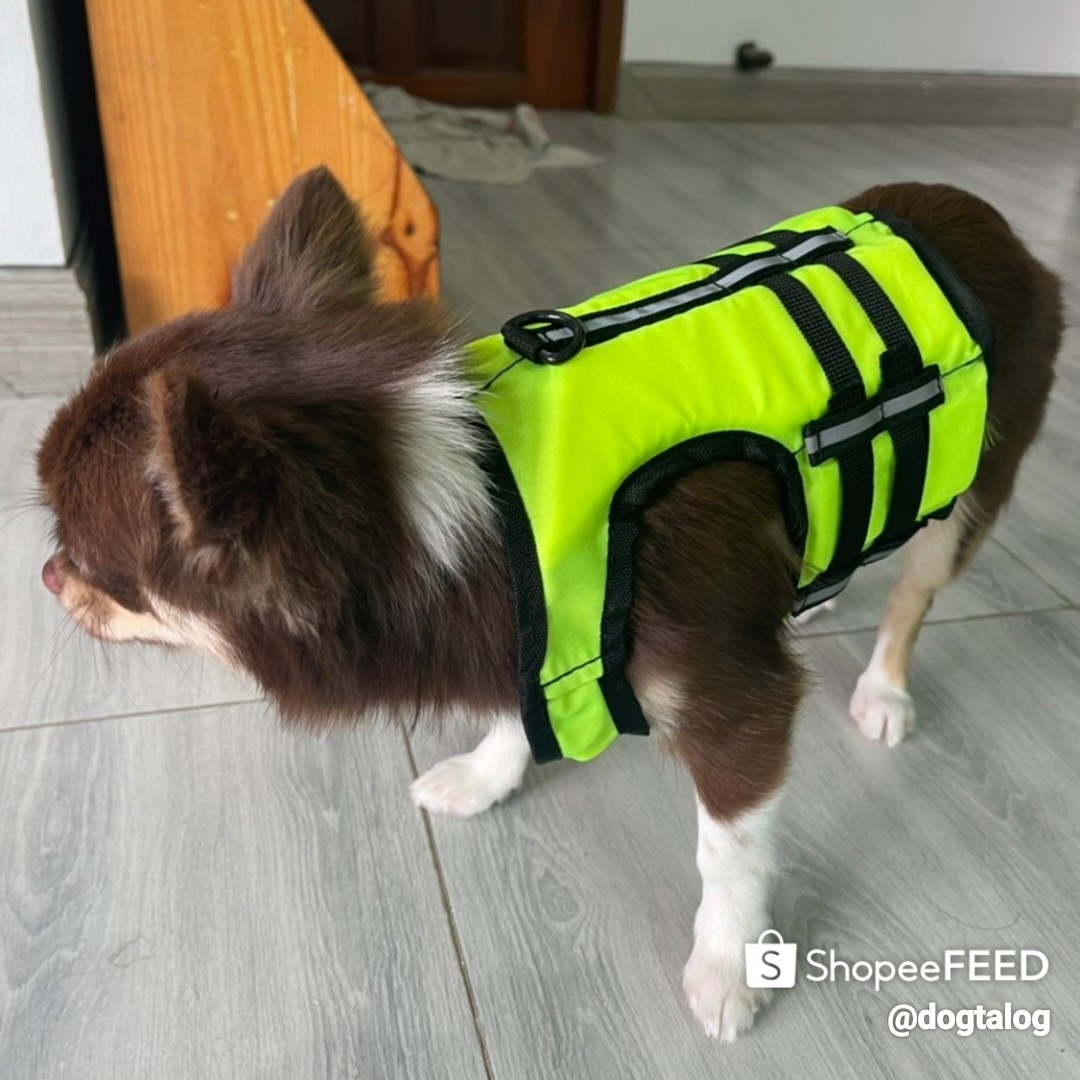 เสื้อชูชีพสุนัขแบบเสื้อกล้าม : สีเขียว