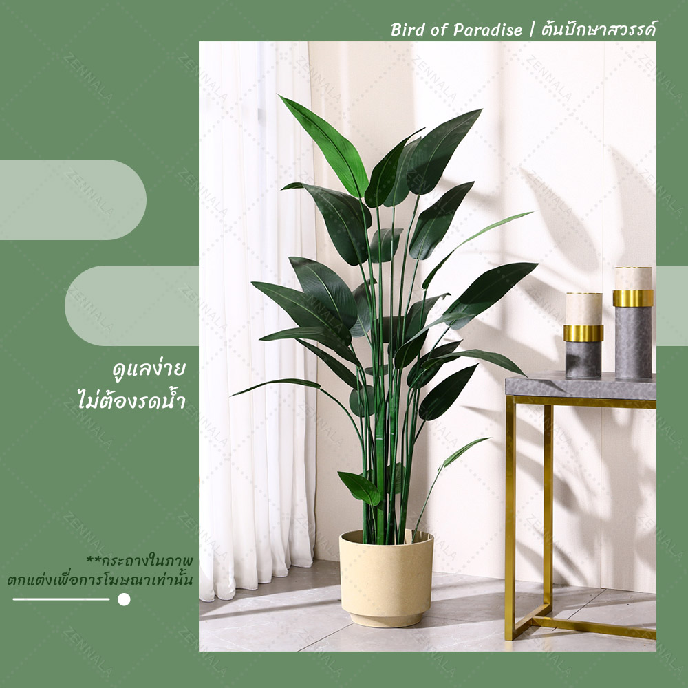 ต้น Bird of Paradise ต้นปักษาสวรรค์ พร้อมกระถางดำ มี 2 ไซส์ให้เลือก