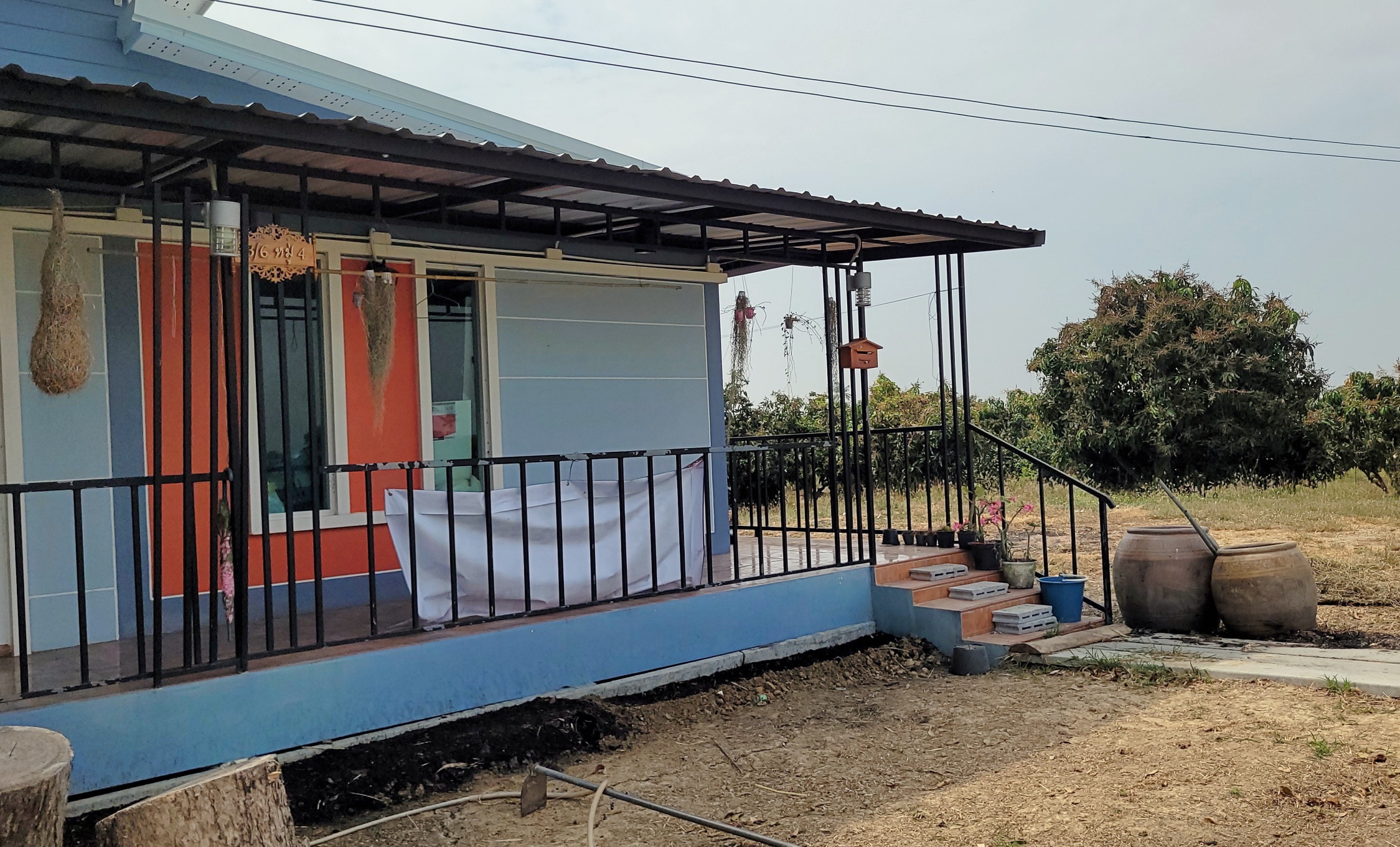 💰ขายแล้ว💰ขายบ้านเดี่ยวบ้านสวน พร้อมสวนมะม่วงน้ำดอกไม้สีทอง เนื้อที่ 2 ไร่ 3 งาน 72 ตรว ต.สนามคลี อ.เมือง จ.สุพรรณบุรี . ติดถนนลาดยาง หน้ากว้าง 24 เมตร ลึกยาว 200 เมตร 🍁มะม่วงน้ำดอกไม้สีทองประมาณ 250 ต้น อา