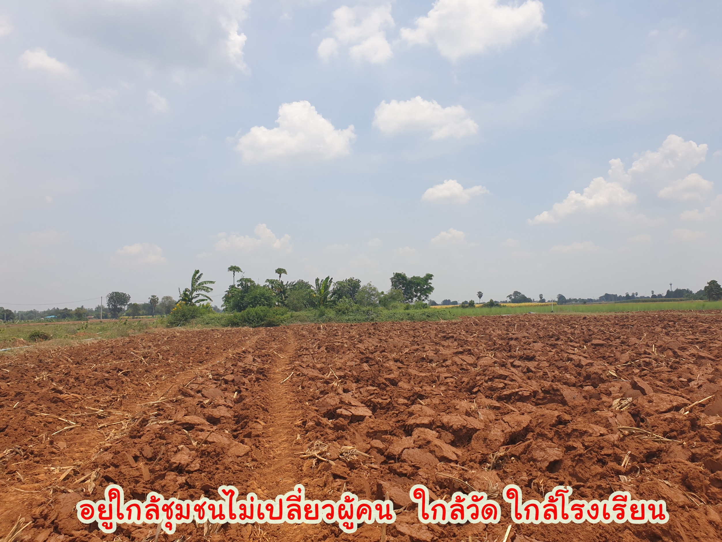 💰ขายแล้ว💰 ขายที่ดินวิวภูเขา เนื้อที่ 9 ไร่ 2 งาน ภูเขาล้อมรอบ บรรยากาศดี วิวทิวทัศน์สวยงาม ขายถูก ราคาหลักแสน วิวหลักล้าน มีบ่อบาดาลให้ 2 ลูก มีน้ำใช้ตลอดทั้งปี