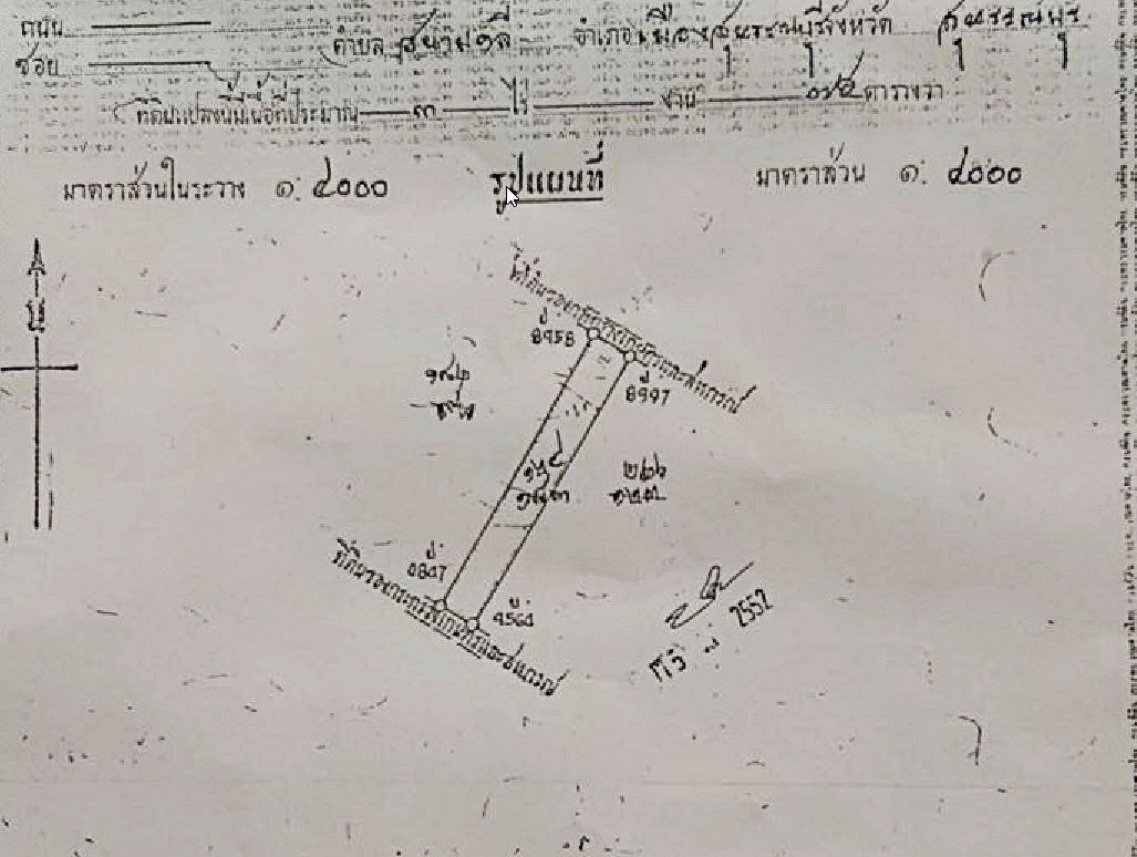 💰ขายแล้ว💰ขายสวนมะม่วงน้ำดอกไม้สีทอง ใกล้คลองชลประทาน ติดถนนราดยาง อ.เมือง จ.สุพรรบุรี เนื้อที่ 3 ไร่ 75 ตรว ขายยกแปลง 1,750,000 บาท (พร้อมค่าโอน) มะม่วงน้ำดอกไม้สีทอง ประมาณ 300 ต้น มะม่วง 5 ปี หน้ากว้างติดถนน 30 เมตร ลึก 200 เมตร