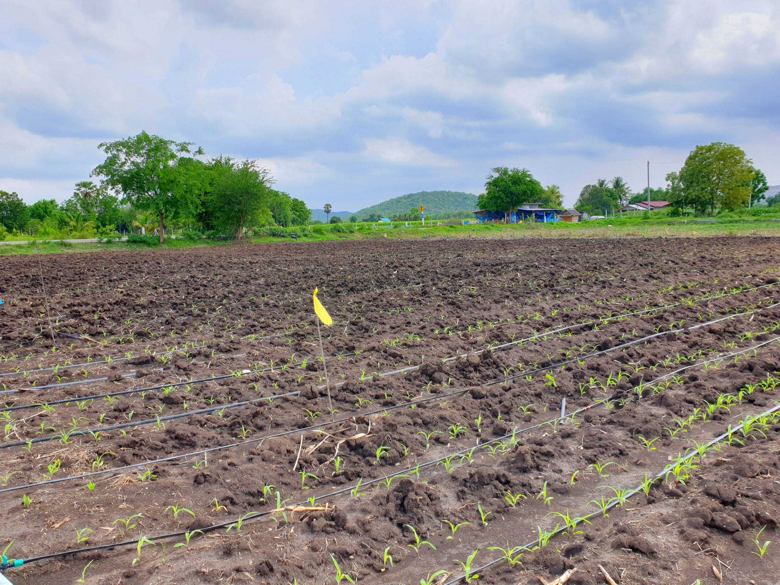 💰ขายแล้ว💰ขายที่ดินสวย ทำเลดี 3 ไร่ 2 งาน อ.อู่ทอง จ.สุพรรณบุรี ติดถนนลาดยาง ท่ามกลางธรรมชาติ วิวภูเขา