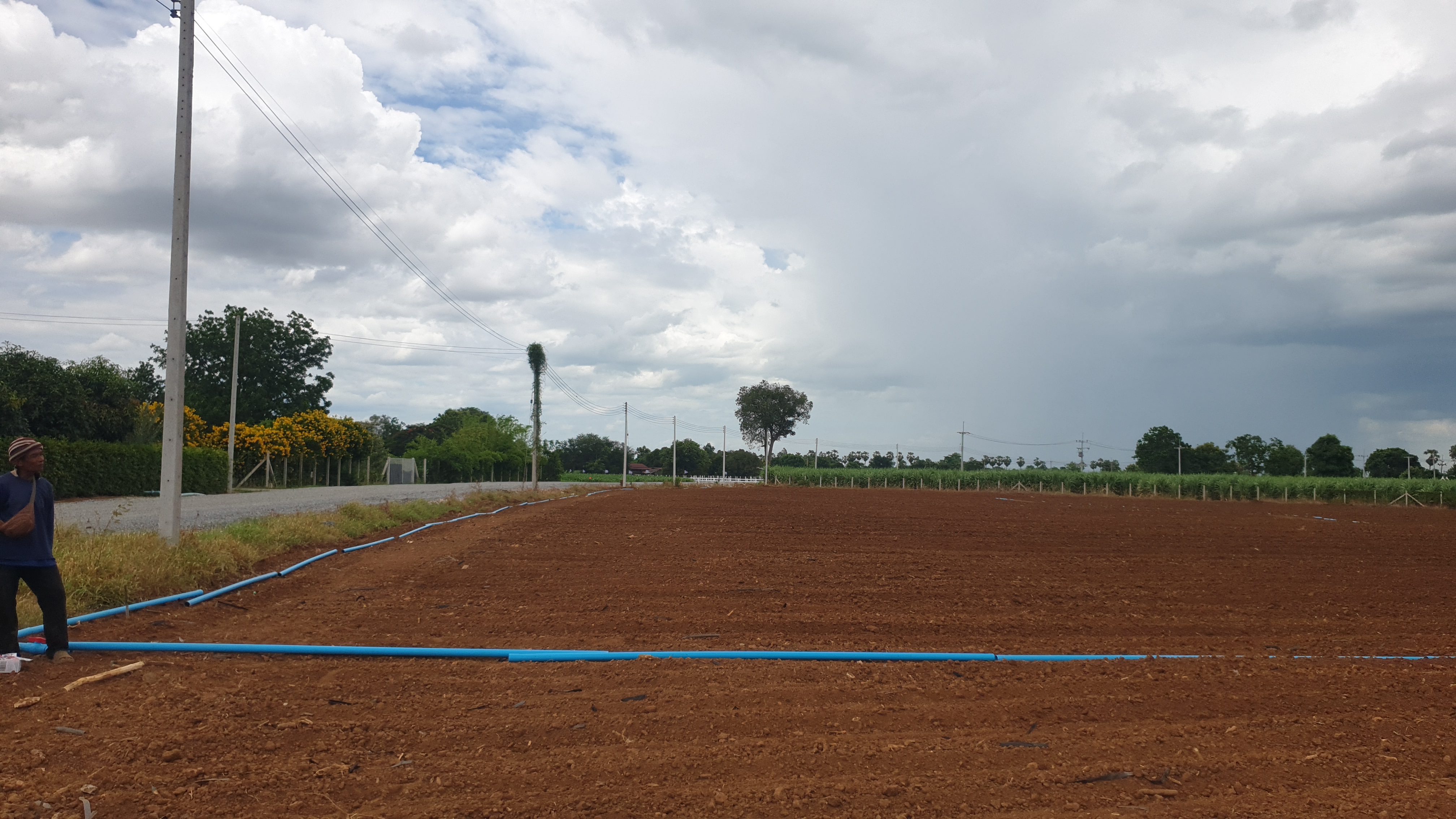 ขายที่ดินสวย 12 ไร่ 2 งาน 53.5 ตร.ว. หน้ากว้างติดถนนสาธารณะ 193 ม. วิวภูเขา 180° อากาศดี เงียบสงบ เหมาะทำบ้านพัก รีสอร์ต หรือเกษตรครบวงจร โอบล้อมด้วยทิวเขา 180° วิวอลังการเต็มตา บรรยากาศธรรมชาติสุดฟิน