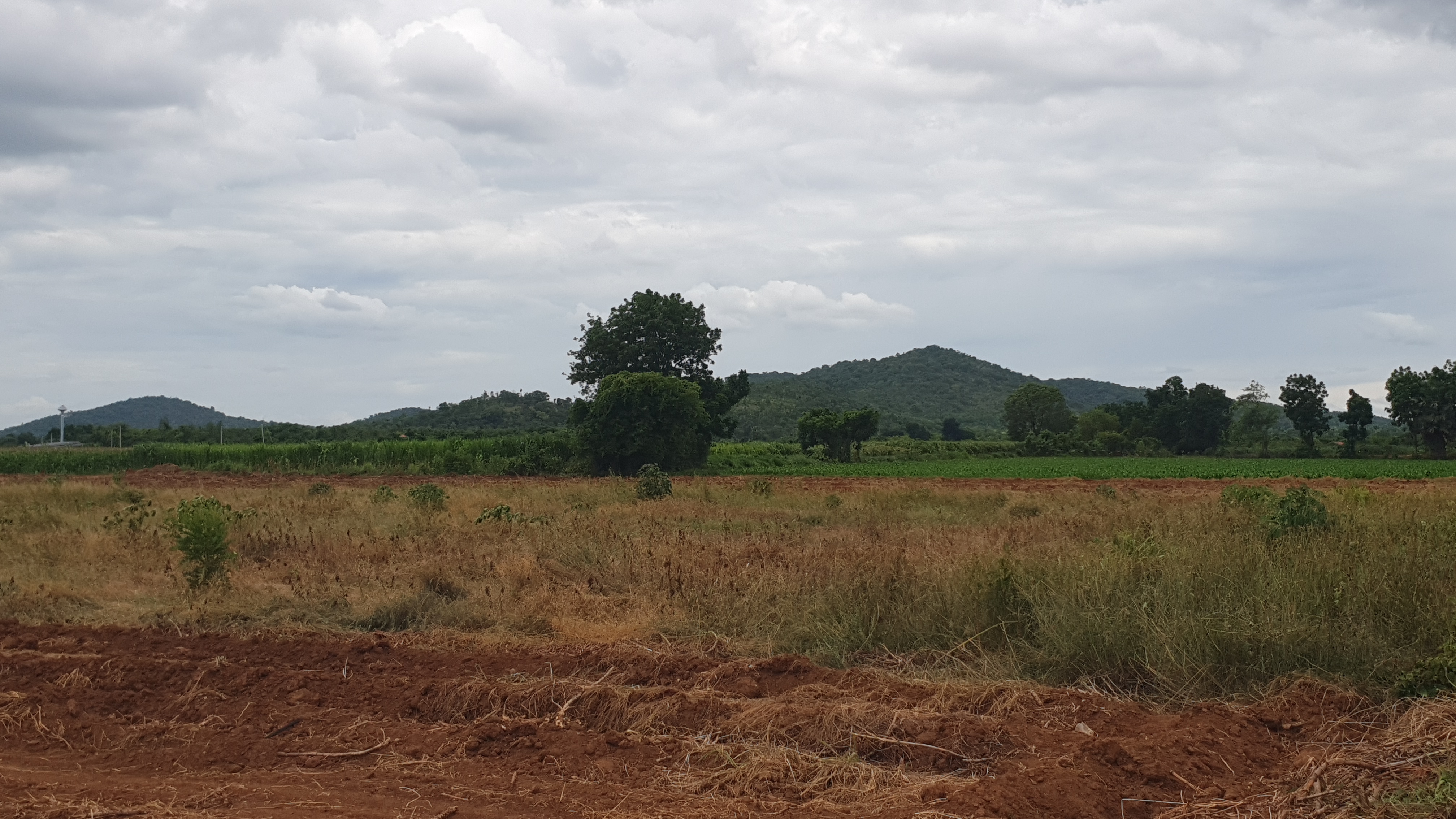 ขายที่ดินวิวภูเขา 180° อ.อู่ทอง จ.สุพรรณบุรี ใกล้แลนด์มาร์คสำคัญใน อ.อู่ทอง เนื้อที่: 16 ไร่ 1 งาน 26.8 ตร.ว. | ราคาไร่ละ 308,888 บาท ต.พลับพลาไชย อ.อู่ทอง จ.สุพรรณบุรี