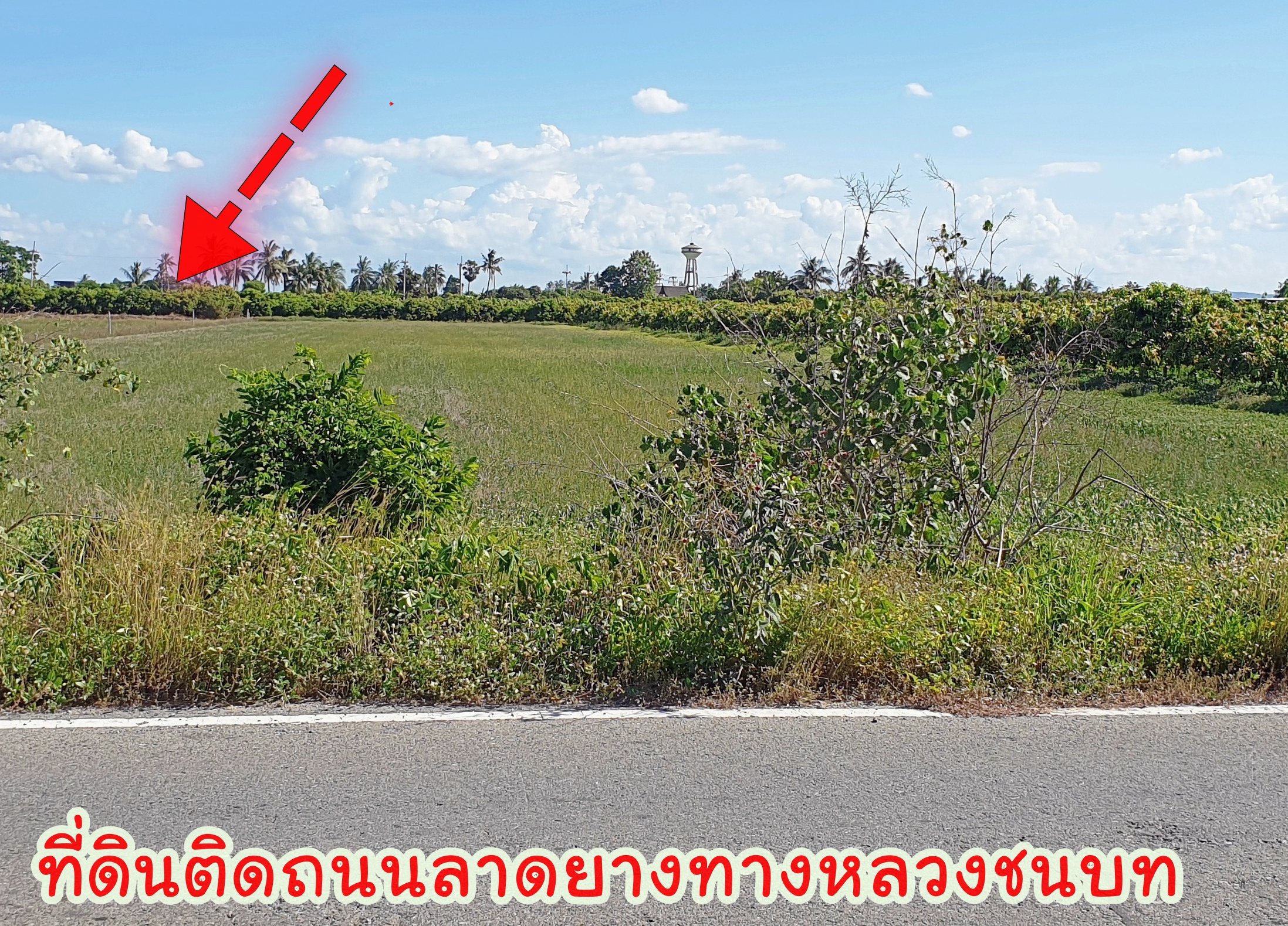 🌌ติดทรัพย์🌌ขายที่ดินติดถนนลาดยาง อ.เมือง จ.สุพรรณบุรี เนื้อที่ 4 ไร่ 2 งาน หน้ากว้างติดถนน 36 เมตร ลึก 195 เมตร อยู่ใกล้ แหล่งน้ำคลองมะขามเฒ่า น้ำอุดมสมบุรณ์ตลอดปี อยู่ใกล้ชุมชน เหมาะปลูกบ้านทำสวนเกษตร ยามเกษียณ หรือเปิดร้านอาหารท่ามกลางธร