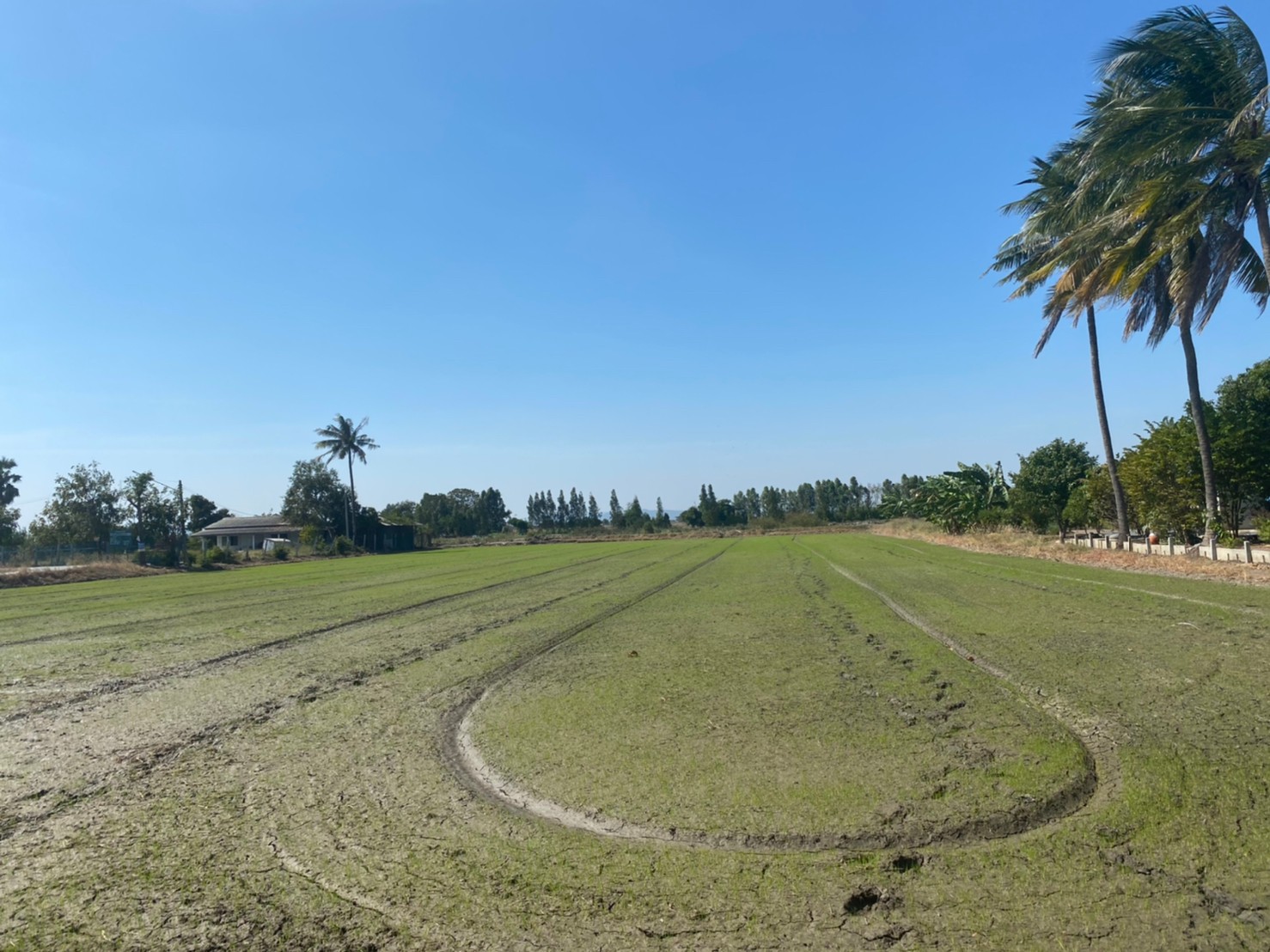 💰ขายแล้ว💰ขายที่ดินติดถนนลาดยาง อ.เมือง จ.สุพรรณบุรี 4 ไร่ 56 ตรว ทำเลดี ที่สวย บรรยากาศดี วิวทิวทัศน์สวยงาม ขายยกแปลง 1,800,000 บ. ติดถนนทางสาธารณประโยชน์ ลาดยาง 2 ด้าน
